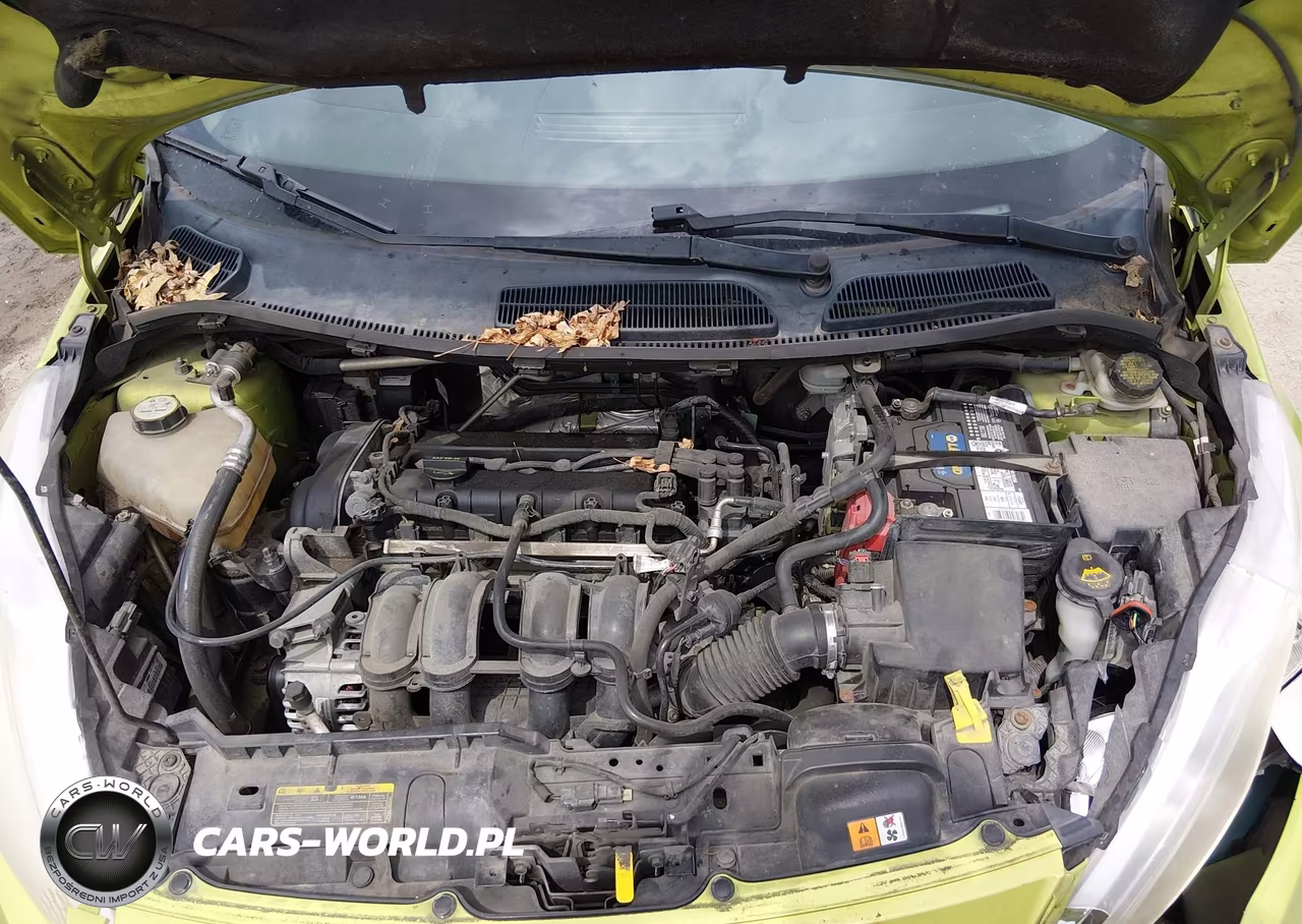 2011 Ford Fiesta Se VIN:3FADP4EJXBM154176 - 10