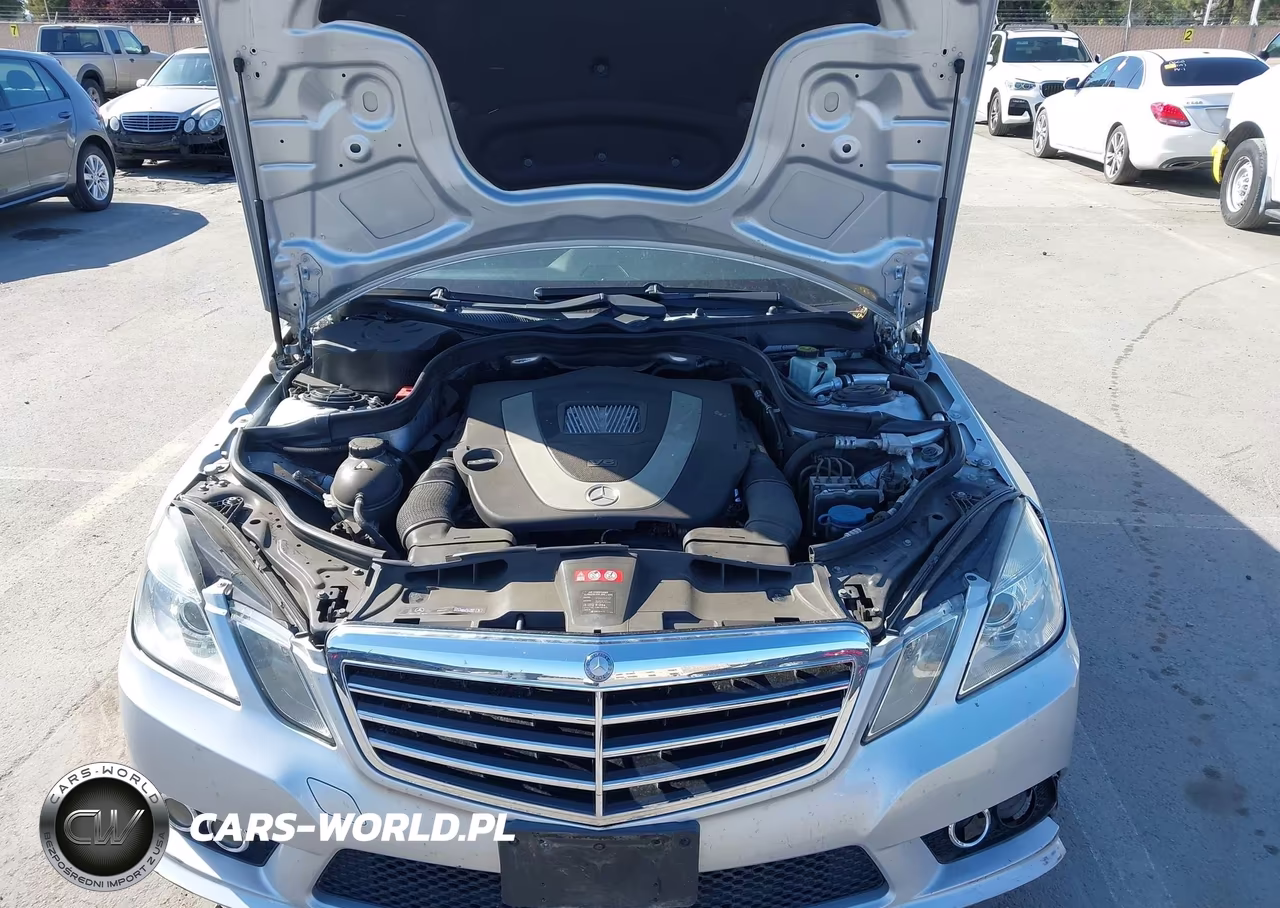 2010 Mercedes-Benz E 350 VIN:WDDHF5GB8AA190329 - 10