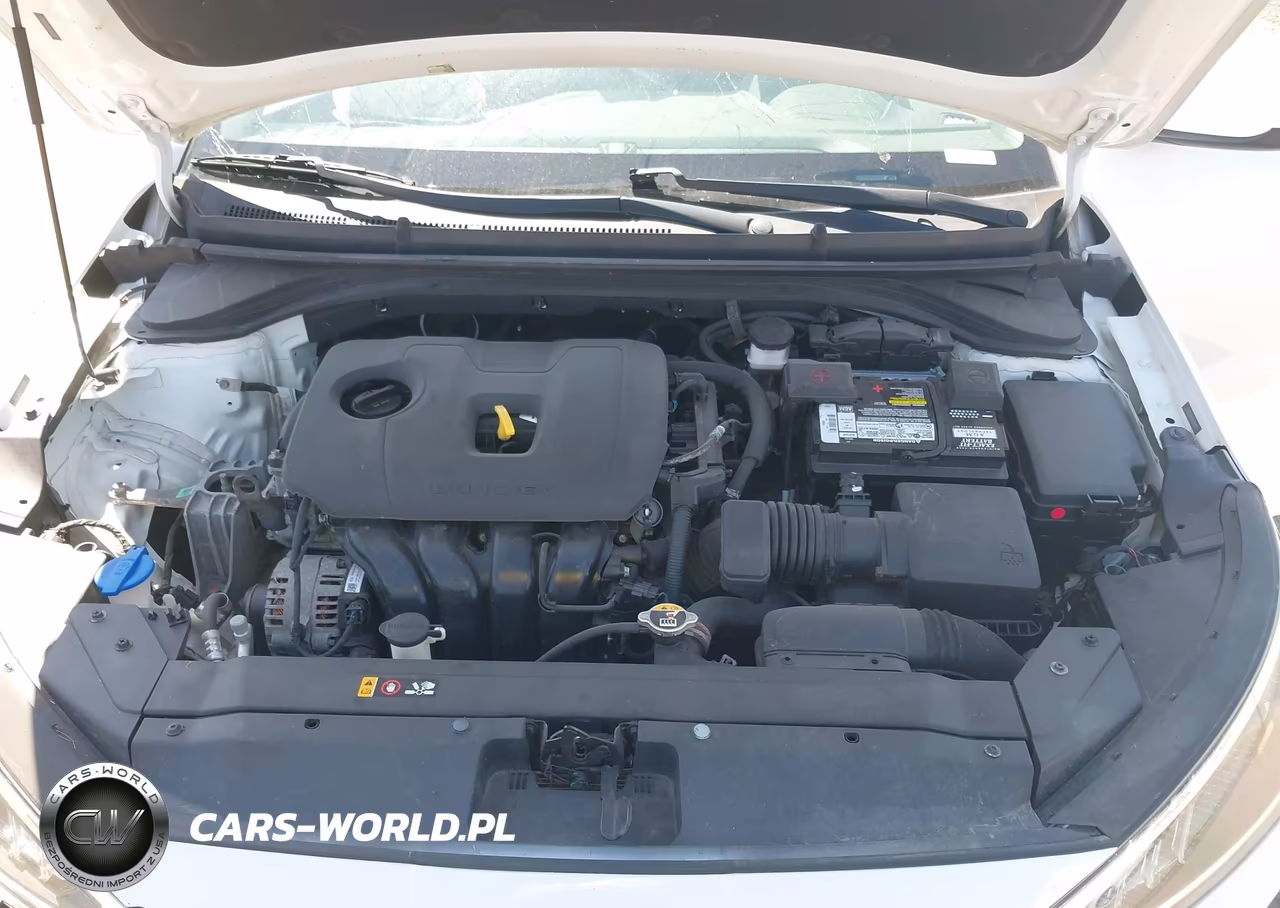 2020 Hyundai Elantra Sel VIN:5NPD84LF0LH548220 - 10