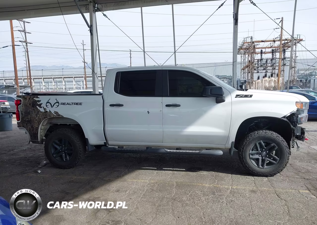 2021 Chevrolet Silverado 1500 4Wd Short Bed Custom Trail Boss VIN:3GCPYCEF4MG402918 - 14