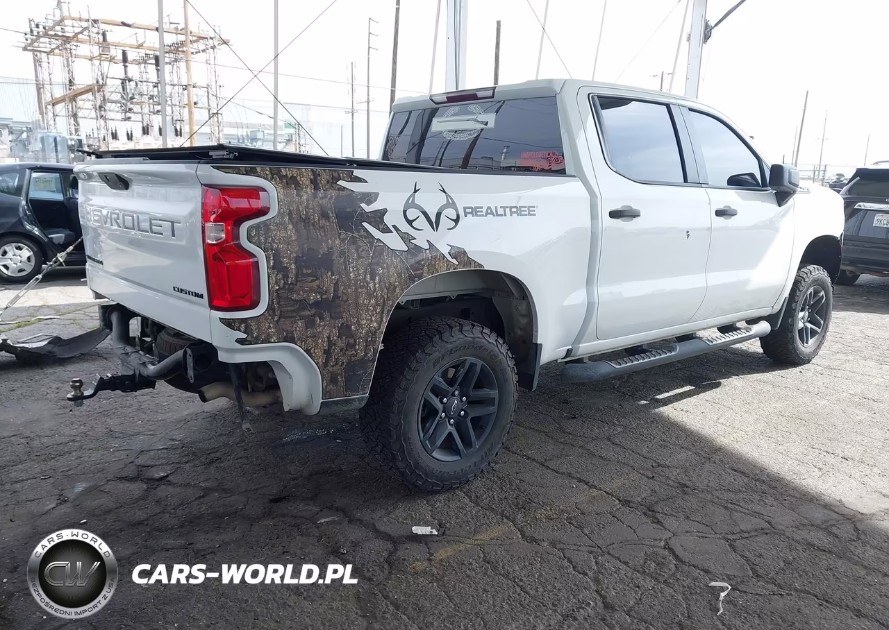 2021 Chevrolet Silverado 1500 4Wd Short Bed Custom Trail Boss VIN:3GCPYCEF4MG402918 - 4