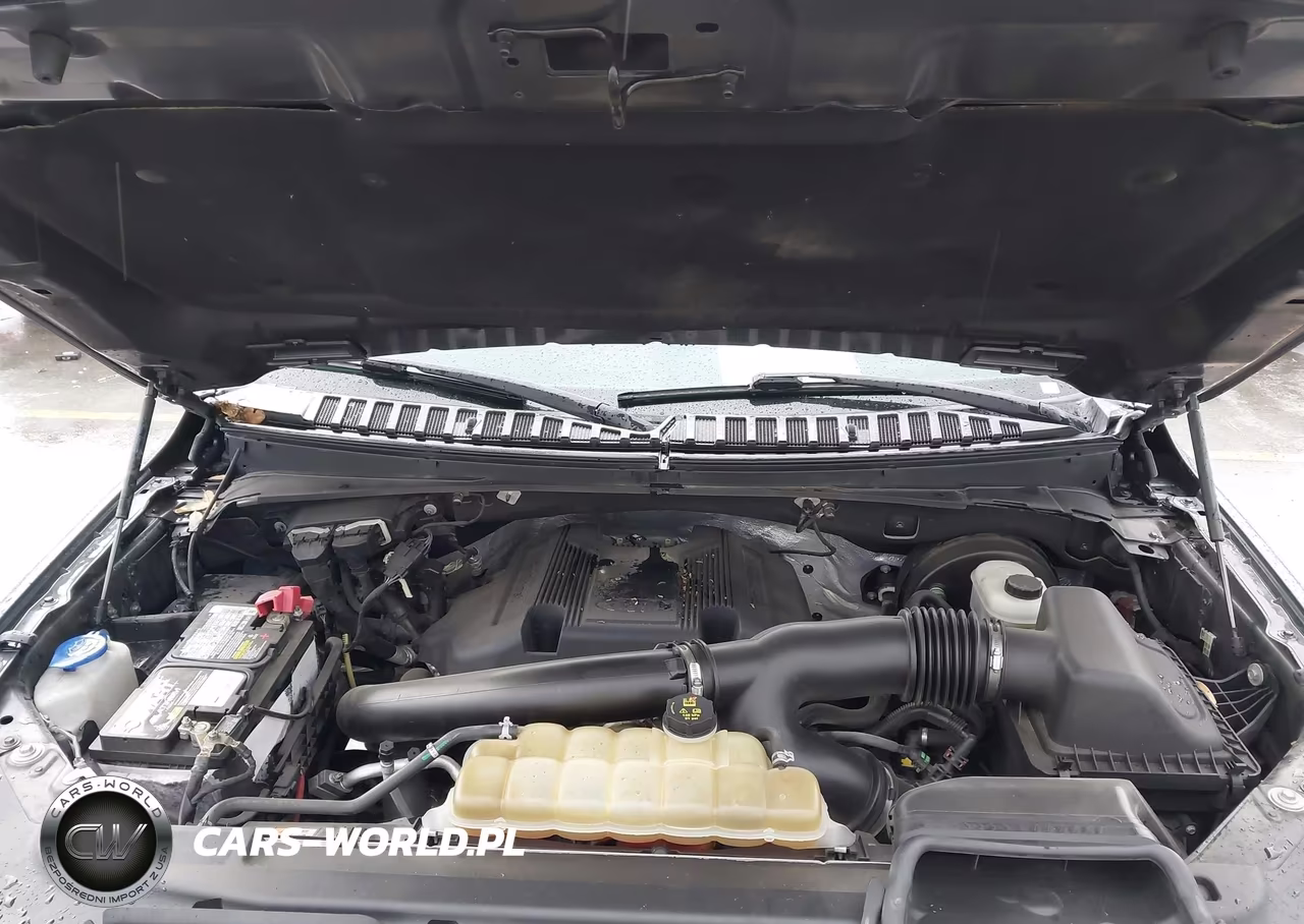 2019 Ford Expedition Limited VIN:1FMJU1KT9KEA31612 - 10