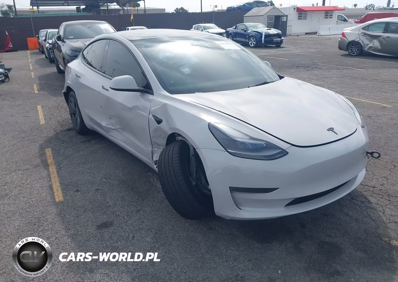 2023 Tesla Model 3 Rear-Wheel Drive