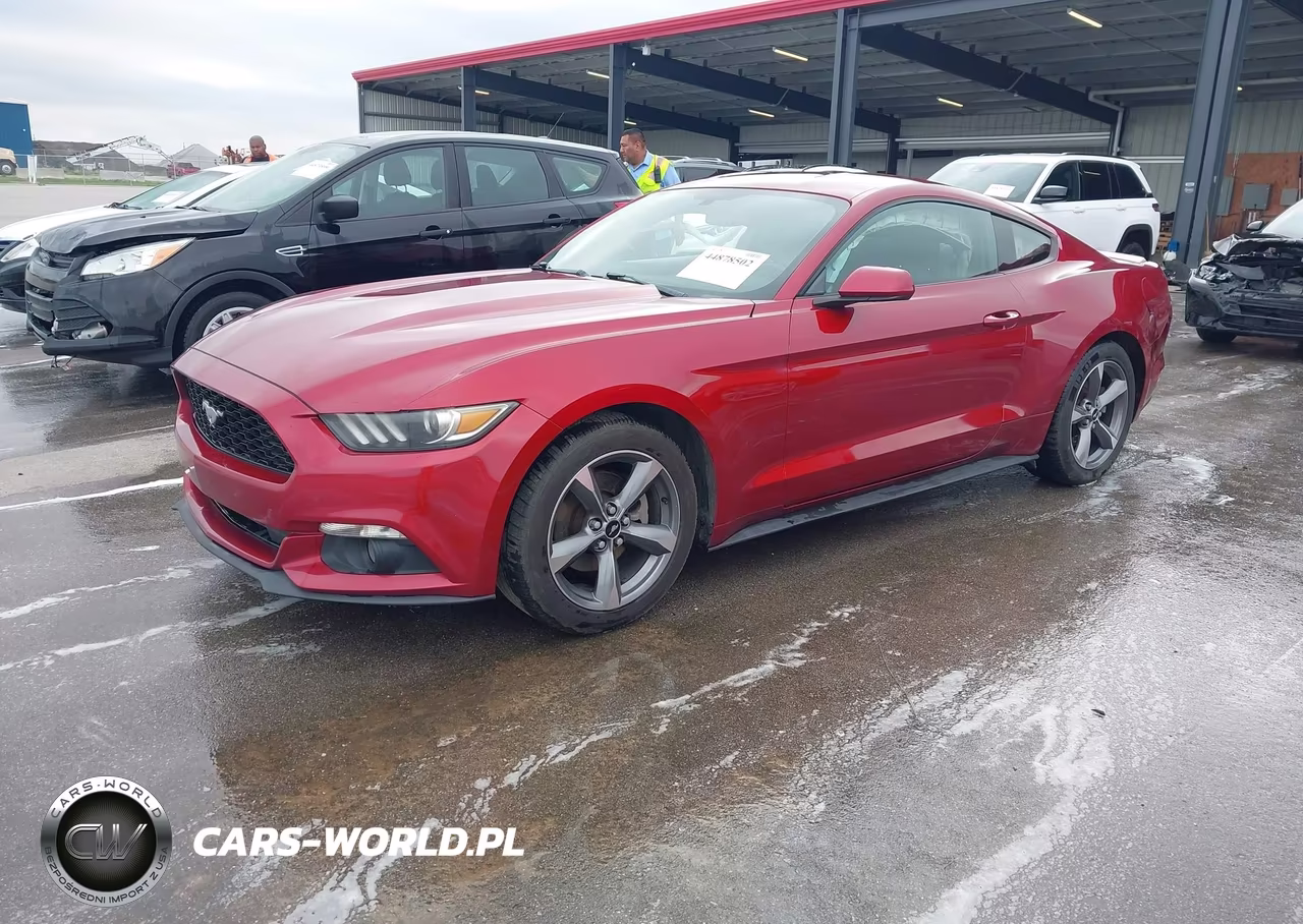 2015 Ford Mustang V6 VIN:1FA6P8AMXF5338321 - 2