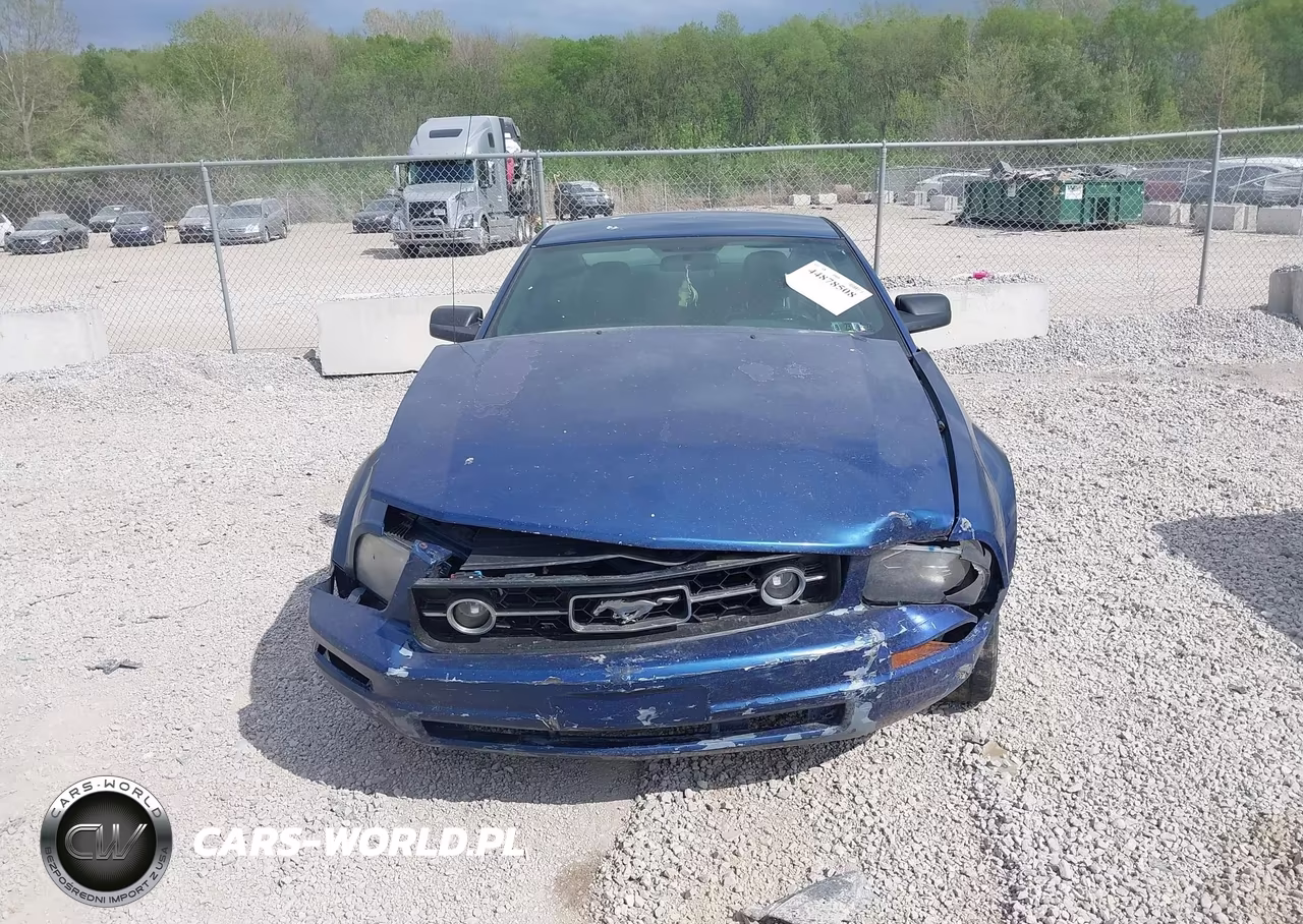 2007 Ford Mustang V6 Deluxe-V6 Premium VIN:1ZVHT80N275349739 - 11