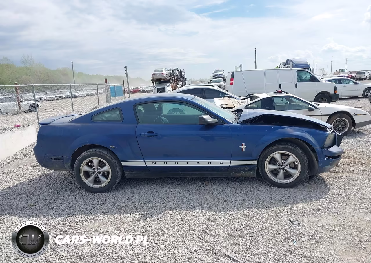 2007 Ford Mustang V6 Deluxe-V6 Premium VIN:1ZVHT80N275349739 - 12