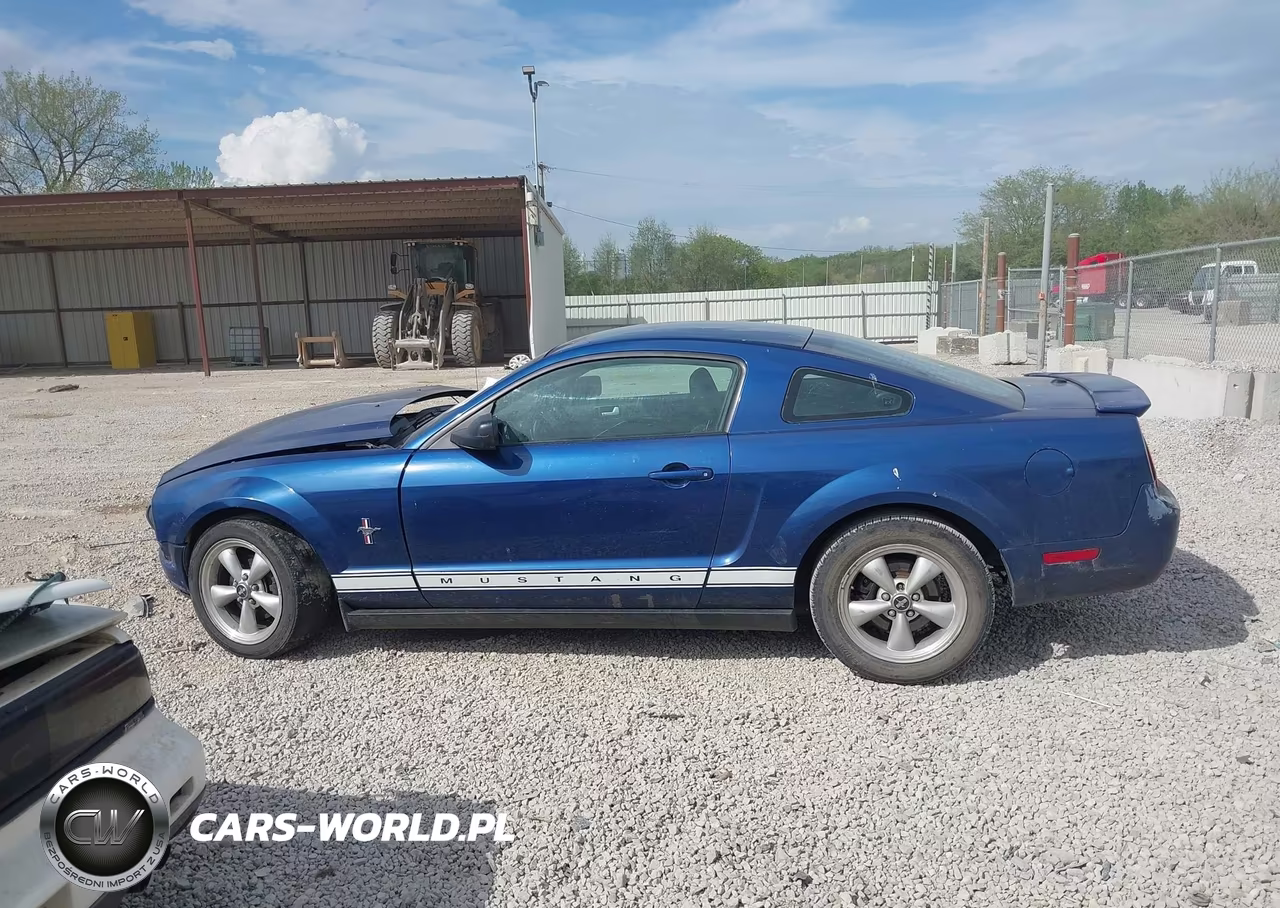 2007 Ford Mustang V6 Deluxe-V6 Premium VIN:1ZVHT80N275349739 - 13