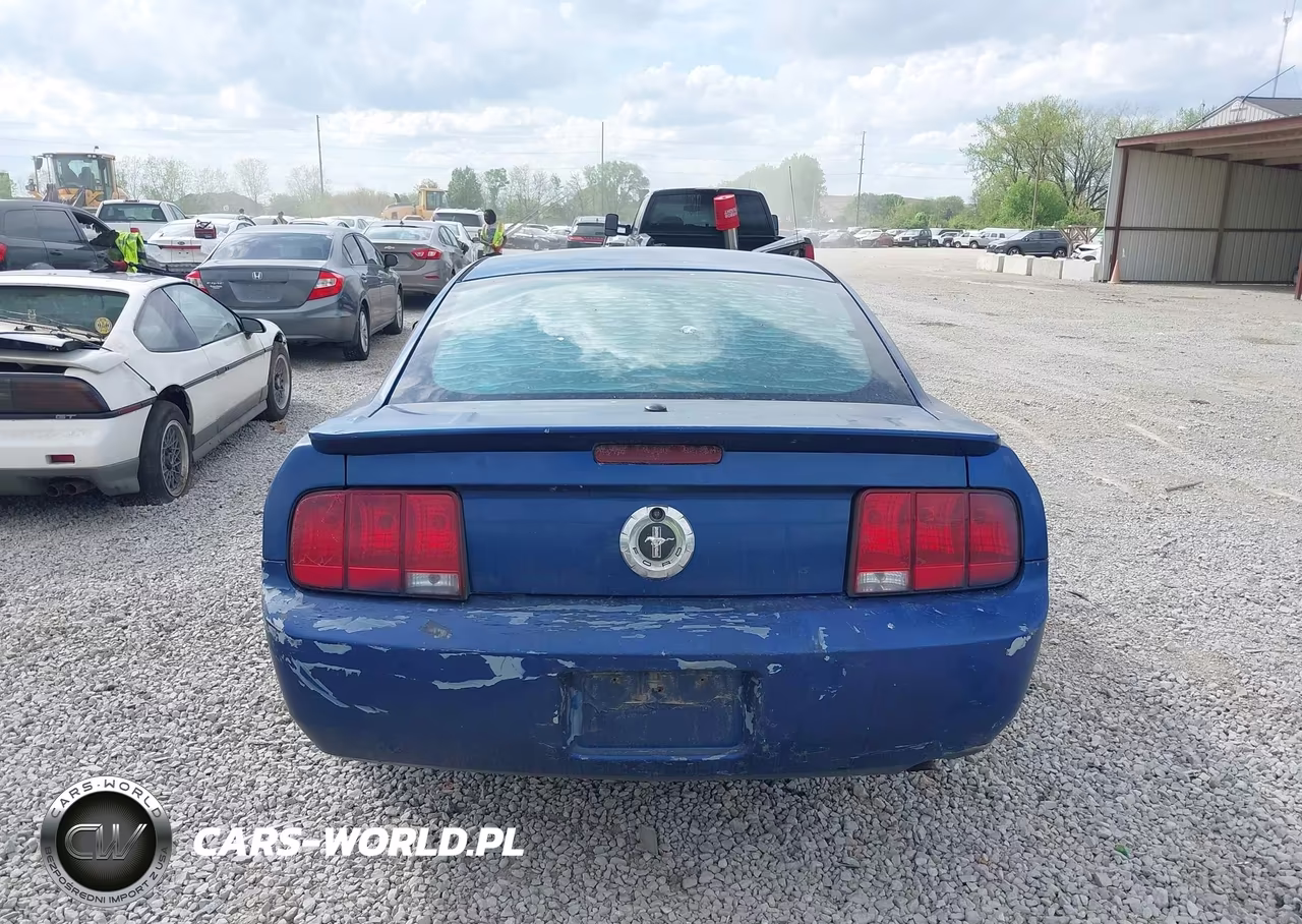 2007 Ford Mustang V6 Deluxe-V6 Premium VIN:1ZVHT80N275349739 - 15