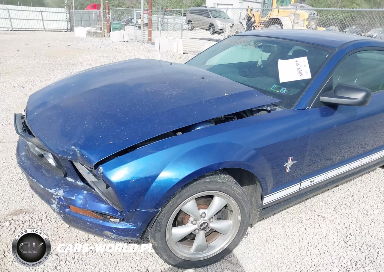 2007 Ford Mustang V6 Deluxe-V6 Premium VIN:1ZVHT80N275349739 - 6