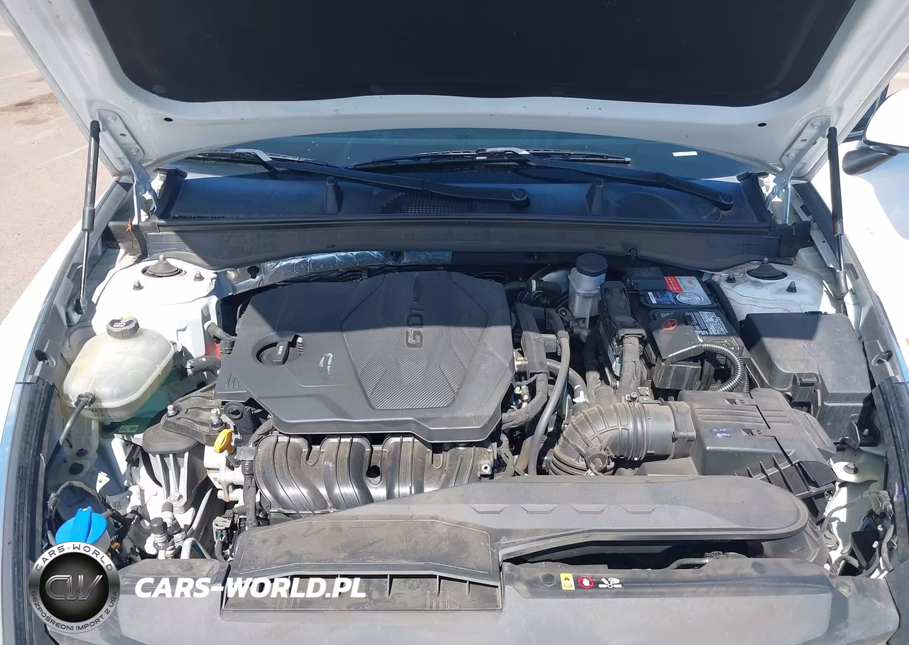 2020 Hyundai Sonata Se VIN:5NPEG4JA9LH047566 - 10