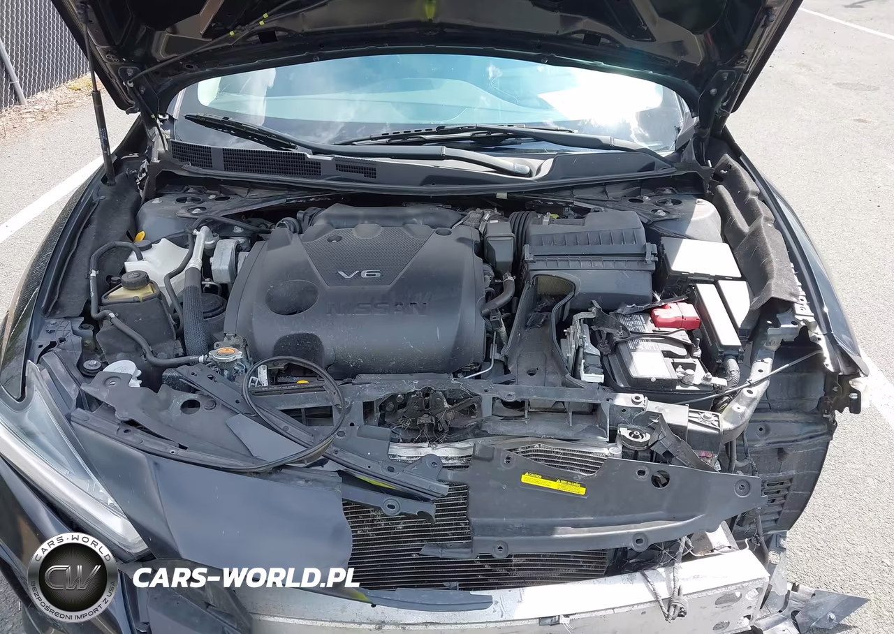 2020 Nissan Maxima Sv Xtronic Cvt VIN:1N4AA6CV1LC365694 - 10