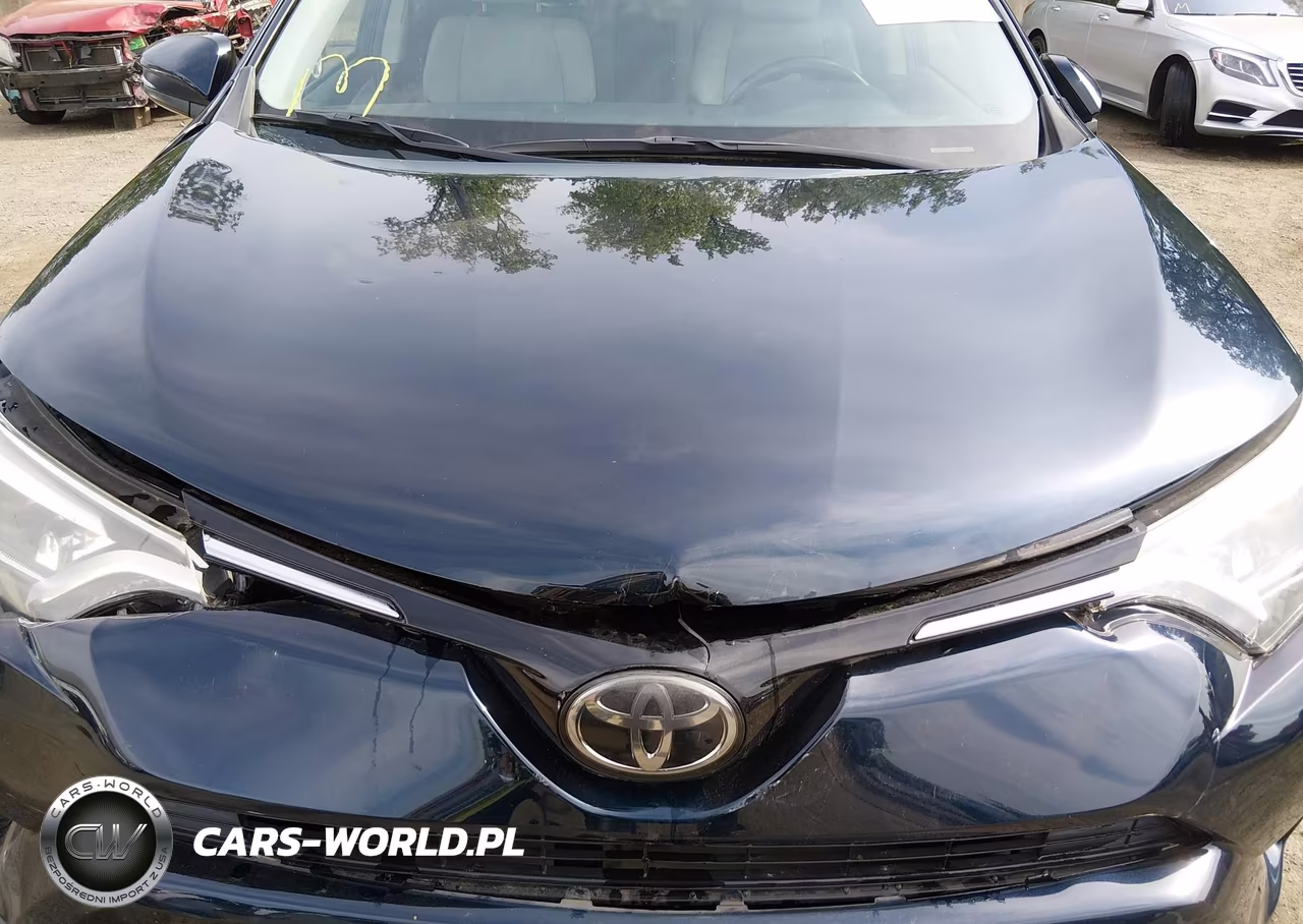 2018 Toyota Rav4 Limited VIN:JTMDFREV7JJ747003 - 10