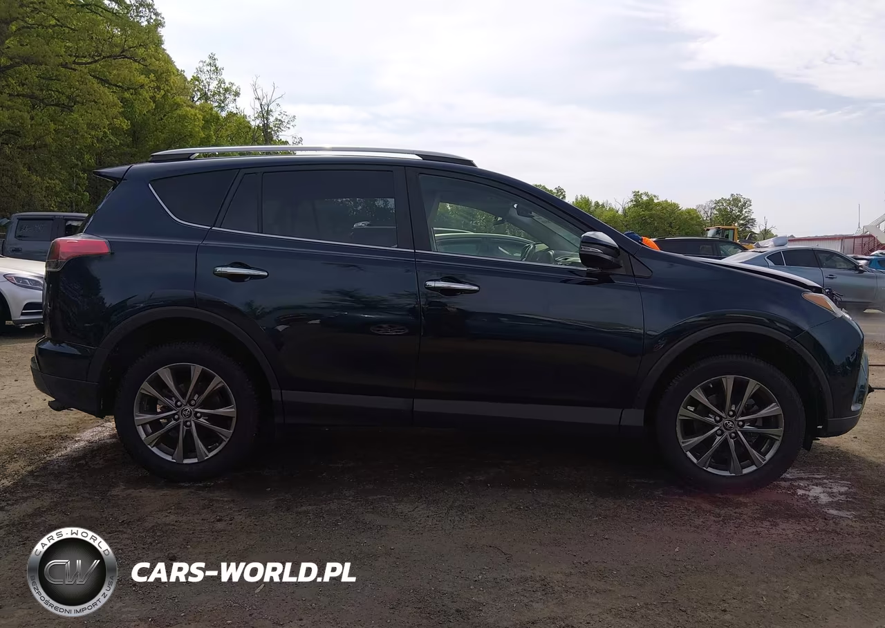 2018 Toyota Rav4 Limited VIN:JTMDFREV7JJ747003 - 12