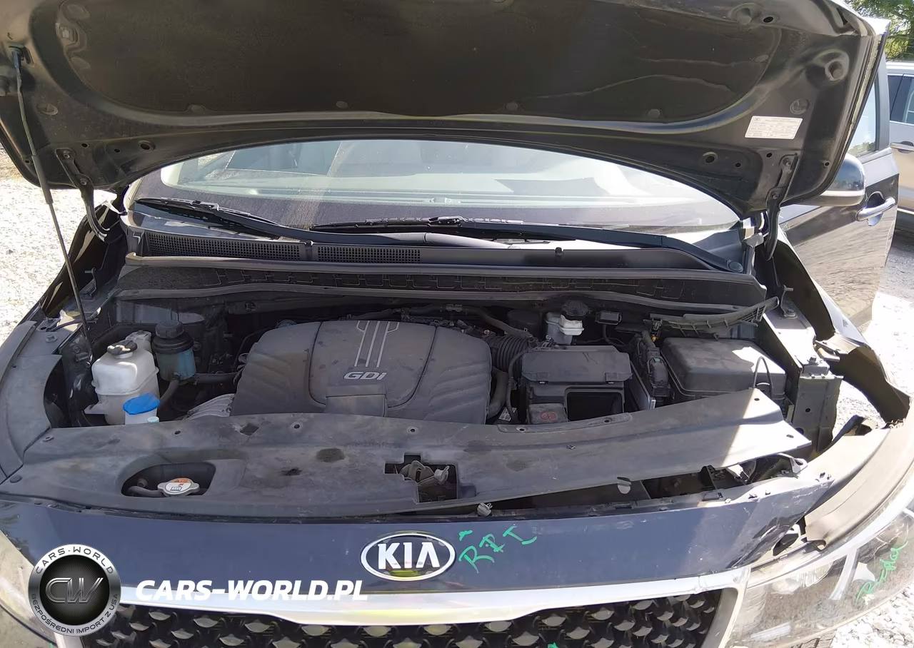 2016 Kia Sedona Lx VIN:KNDMB5C15G6162064 - 10