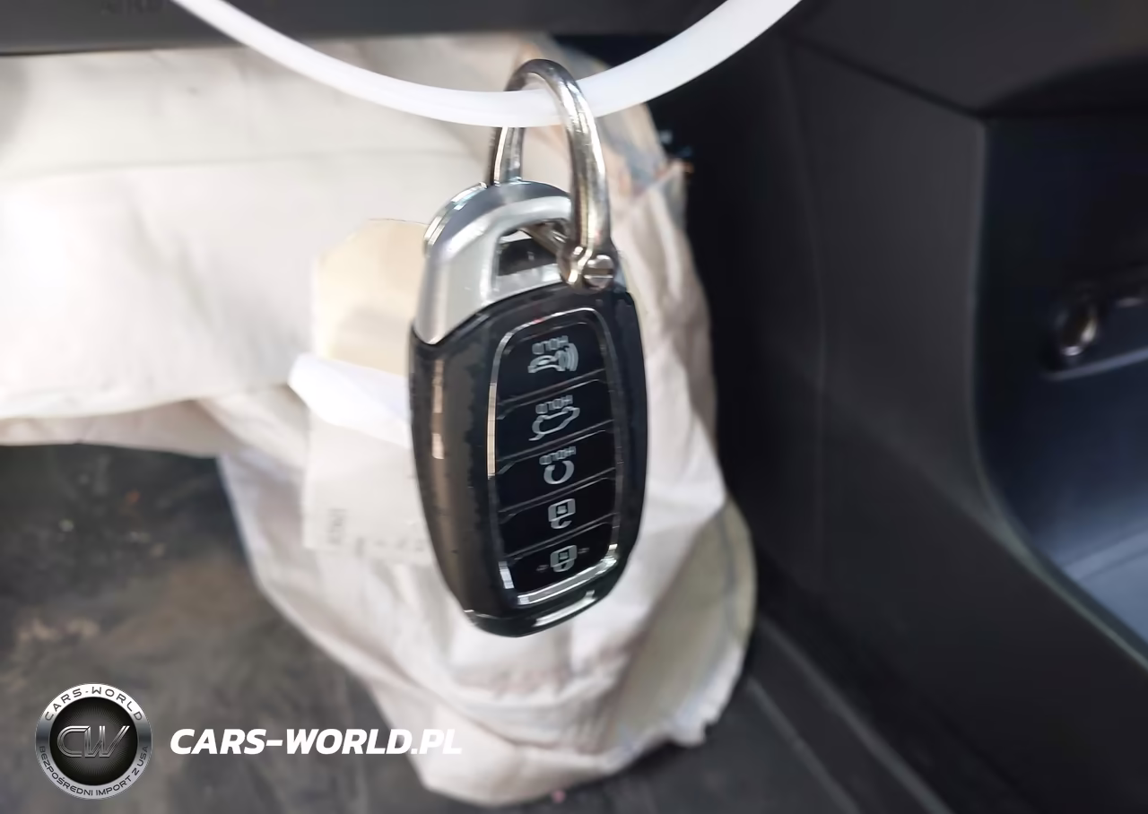 2021 Hyundai Palisade Limited VIN:KM8R5DHE2MU250737 - 11