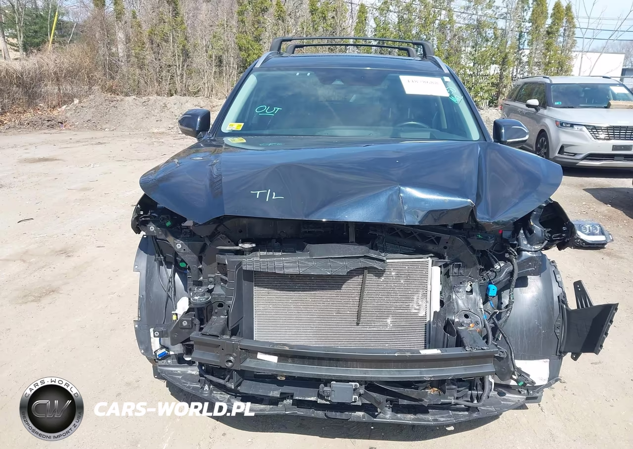 2021 Hyundai Palisade Limited VIN:KM8R5DHE2MU250737 - 13