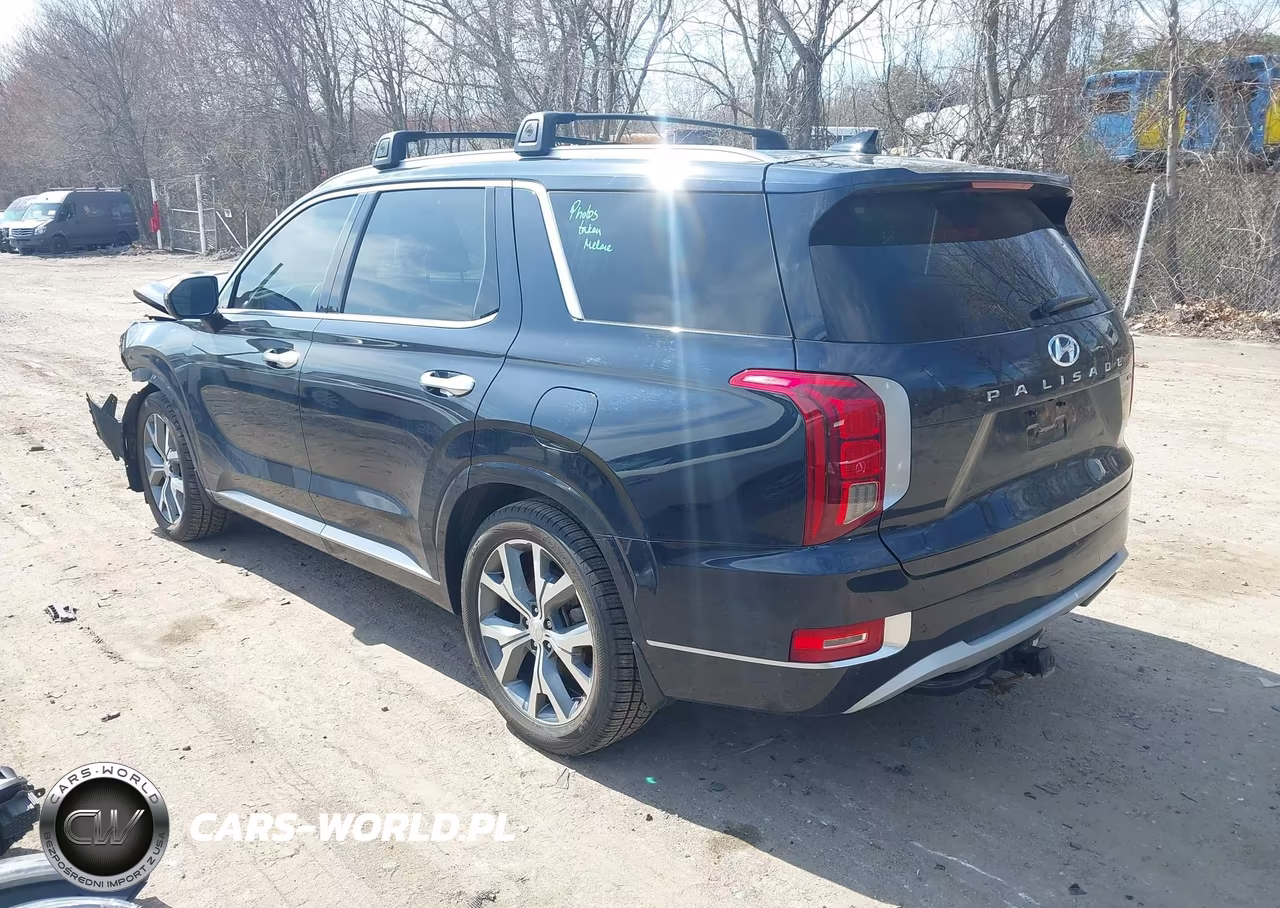 2021 Hyundai Palisade Limited VIN:KM8R5DHE2MU250737 - 3