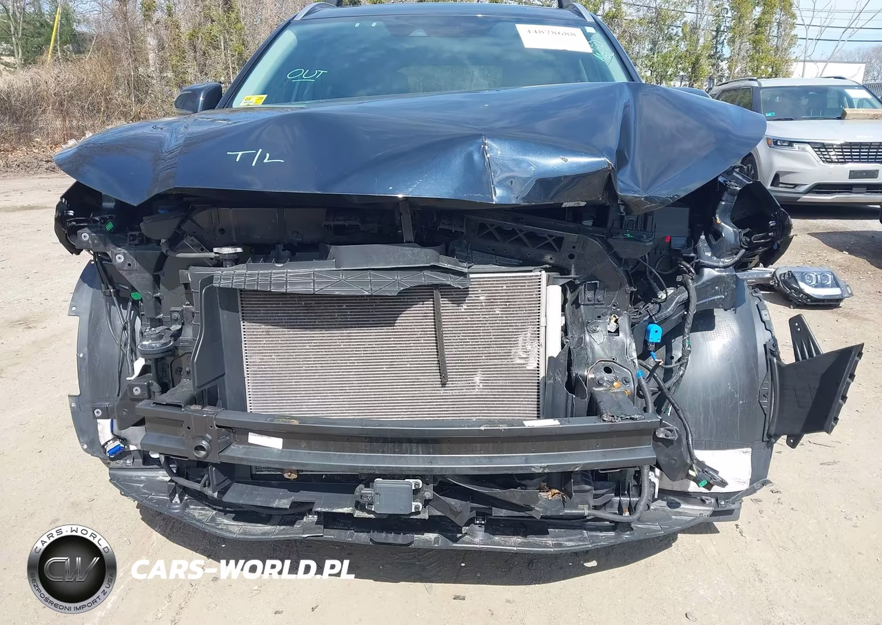2021 Hyundai Palisade Limited VIN:KM8R5DHE2MU250737 - 6