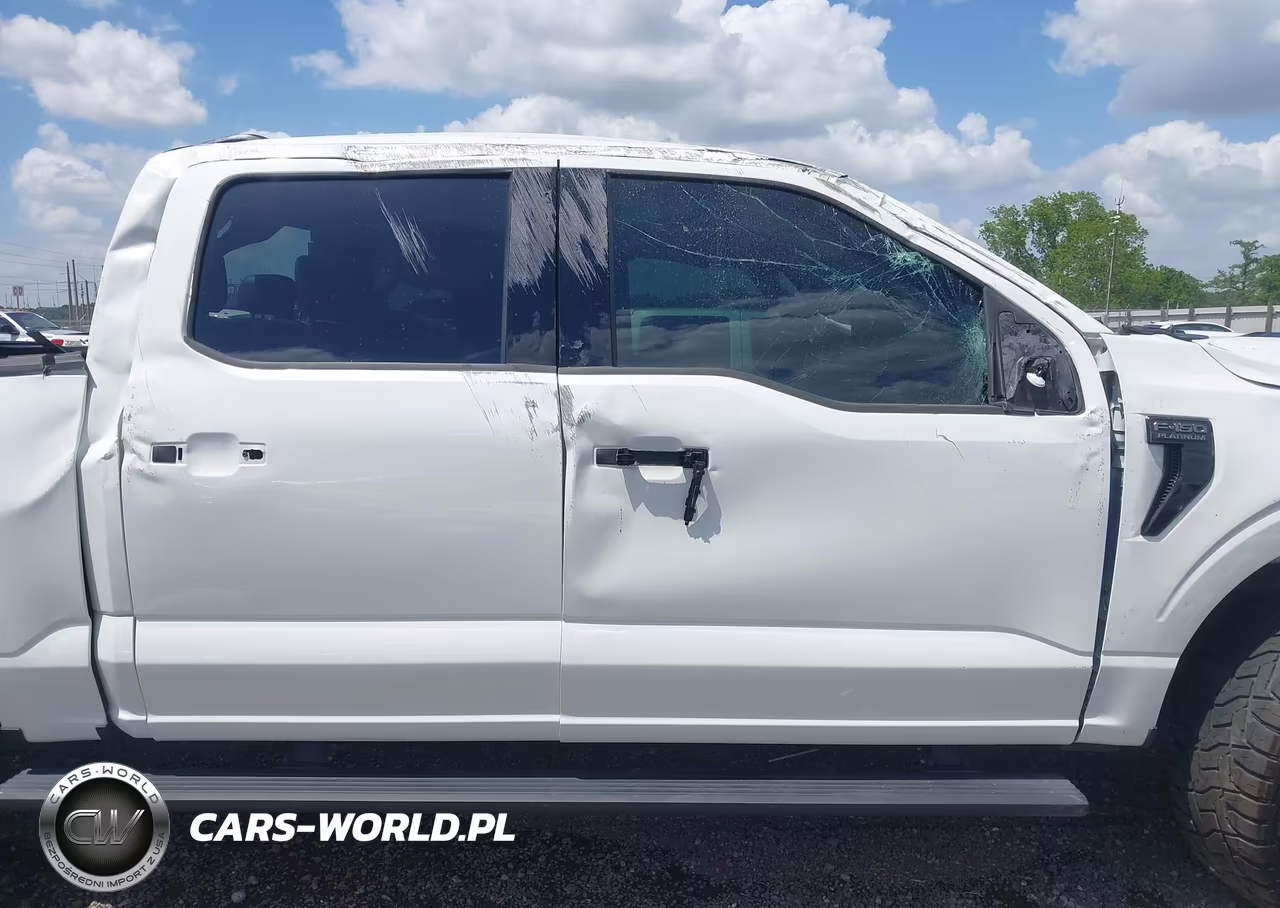 2025 Ford F-150 Platinum VIN:1FTFW7L84SFA23445 - 14
