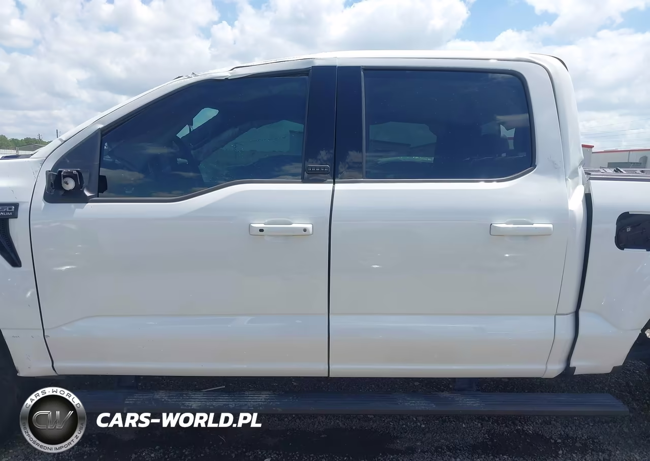 2025 Ford F-150 Platinum VIN:1FTFW7L84SFA23445 - 15