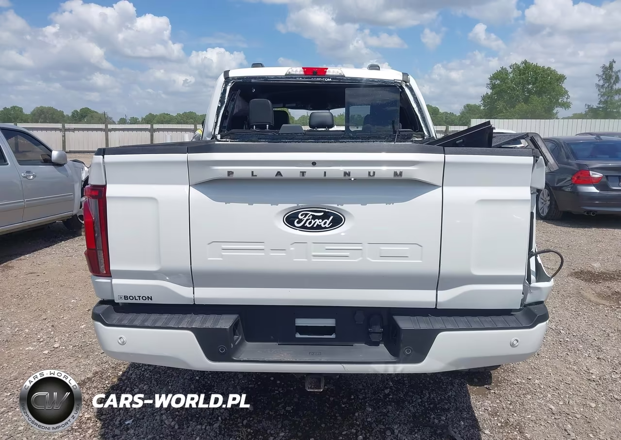 2025 Ford F-150 Platinum VIN:1FTFW7L84SFA23445 - 17