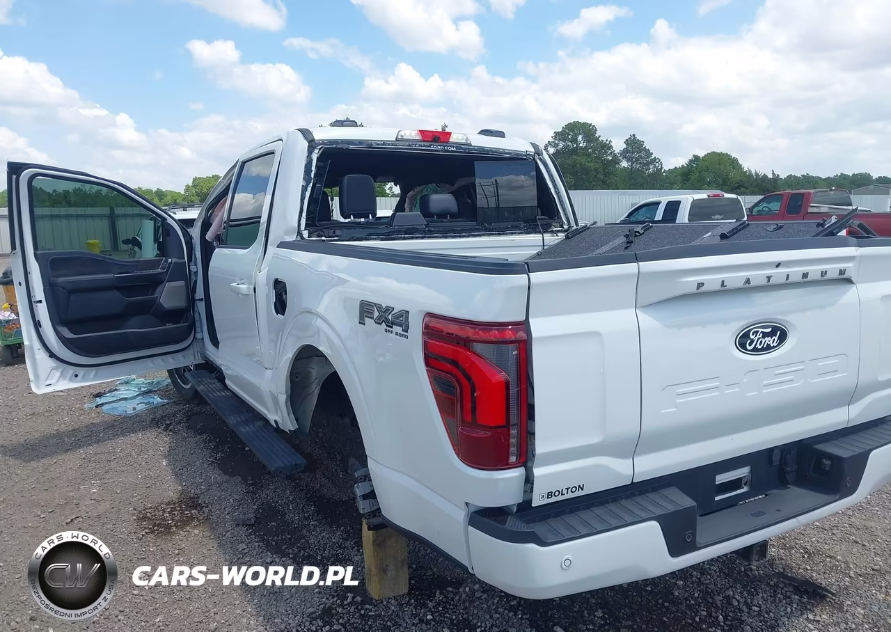 2025 Ford F-150 Platinum VIN:1FTFW7L84SFA23445 - 19