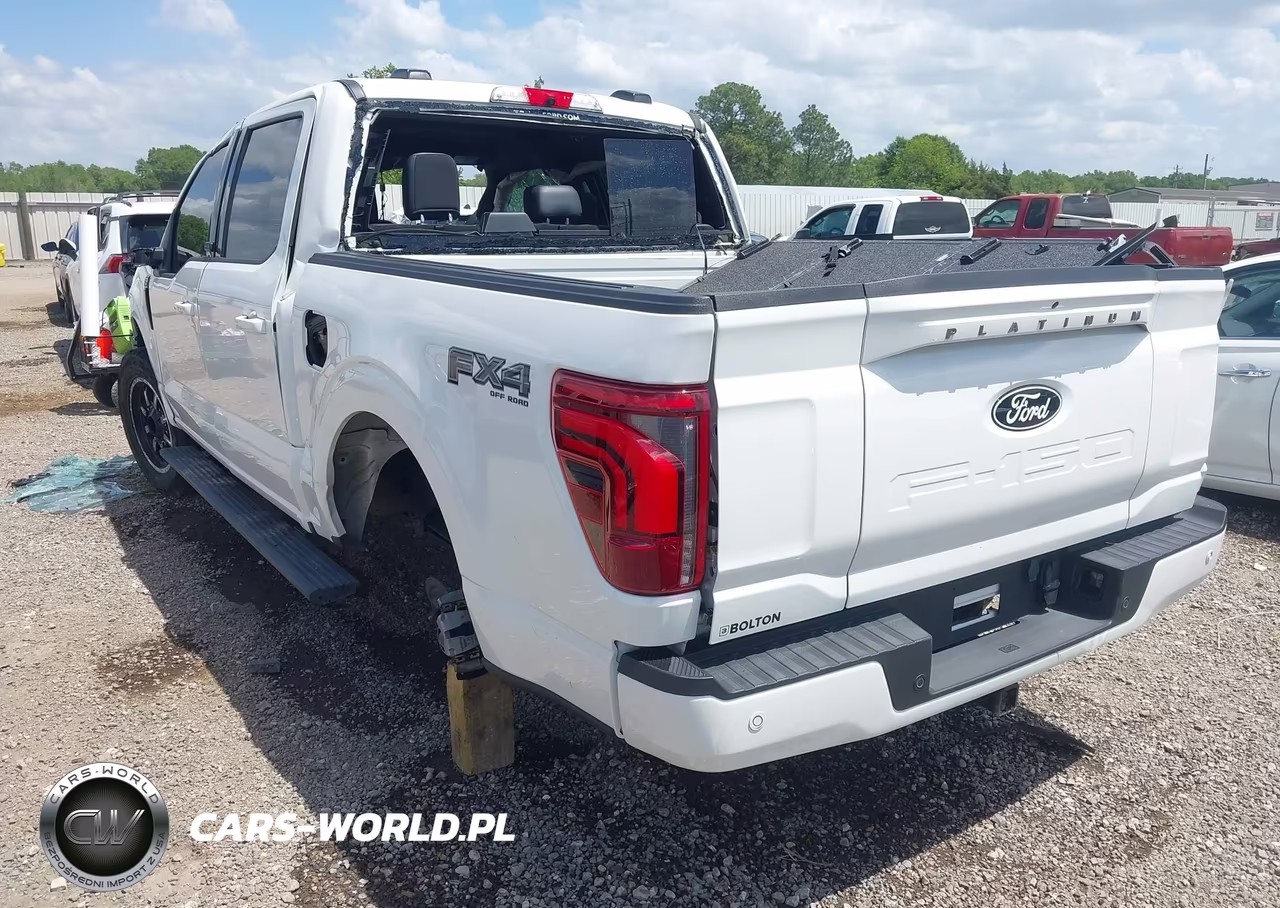 2025 Ford F-150 Platinum VIN:1FTFW7L84SFA23445 - 3