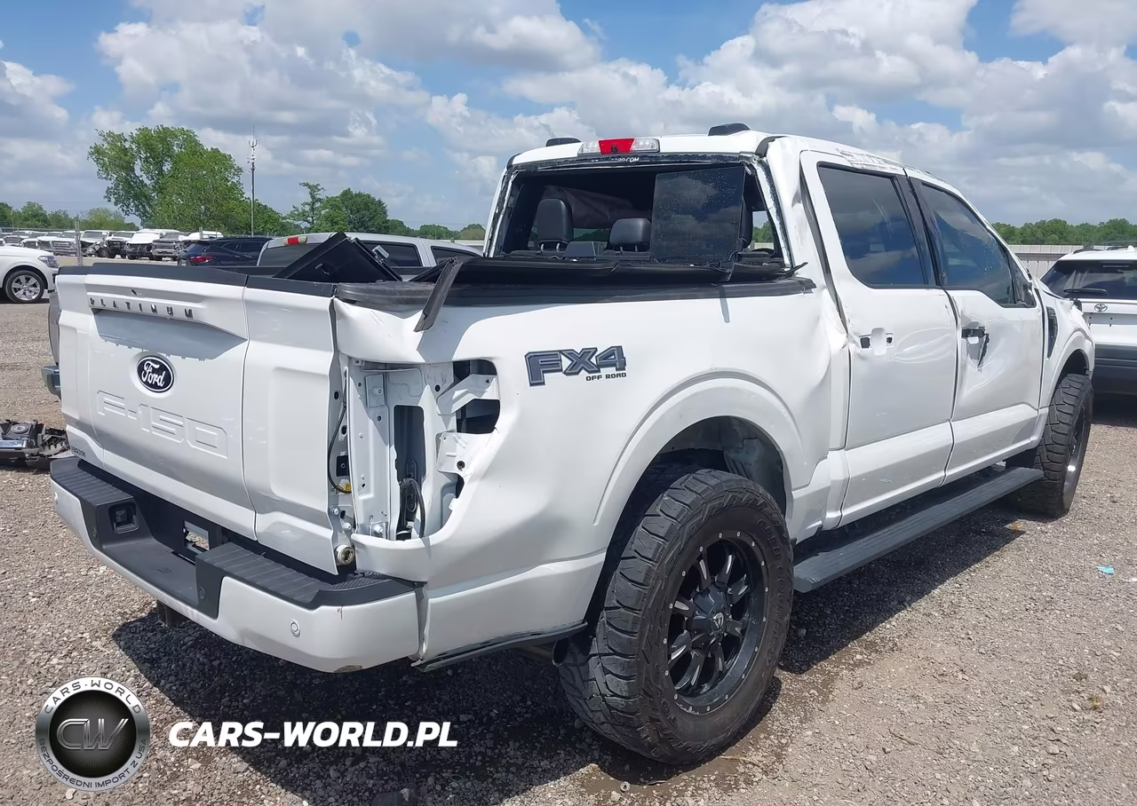 2025 Ford F-150 Platinum VIN:1FTFW7L84SFA23445 - 4