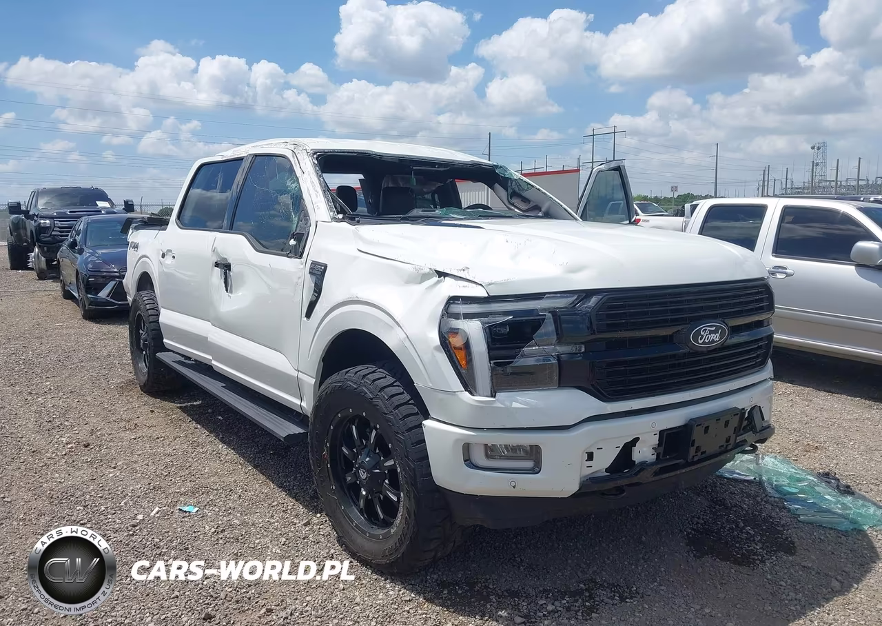 2025 Ford F-150 Platinum VIN:1FTFW7L84SFA23445 - 6