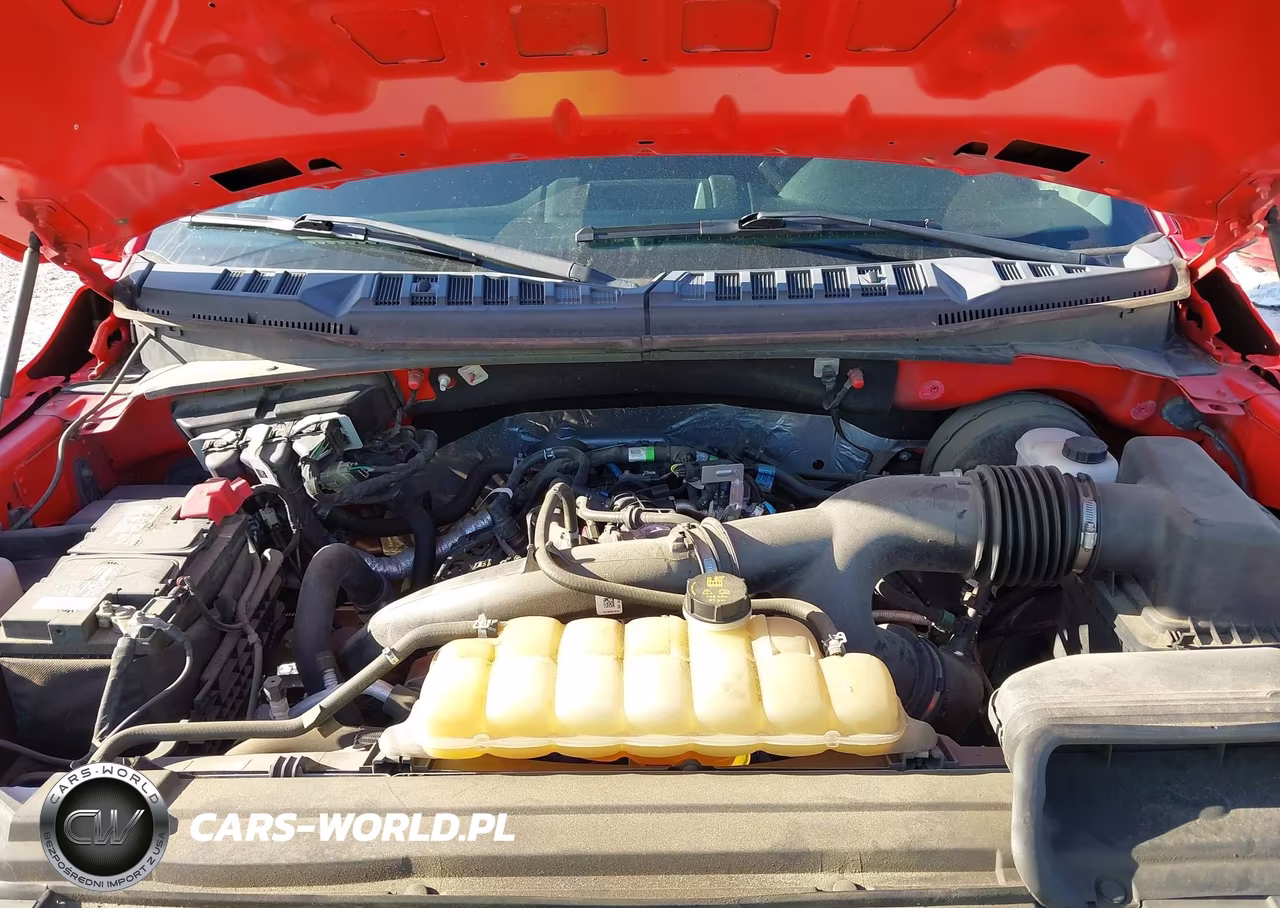 2019 Ford F-150 Xl VIN:1FTEW1CP7KFB11275 - 10