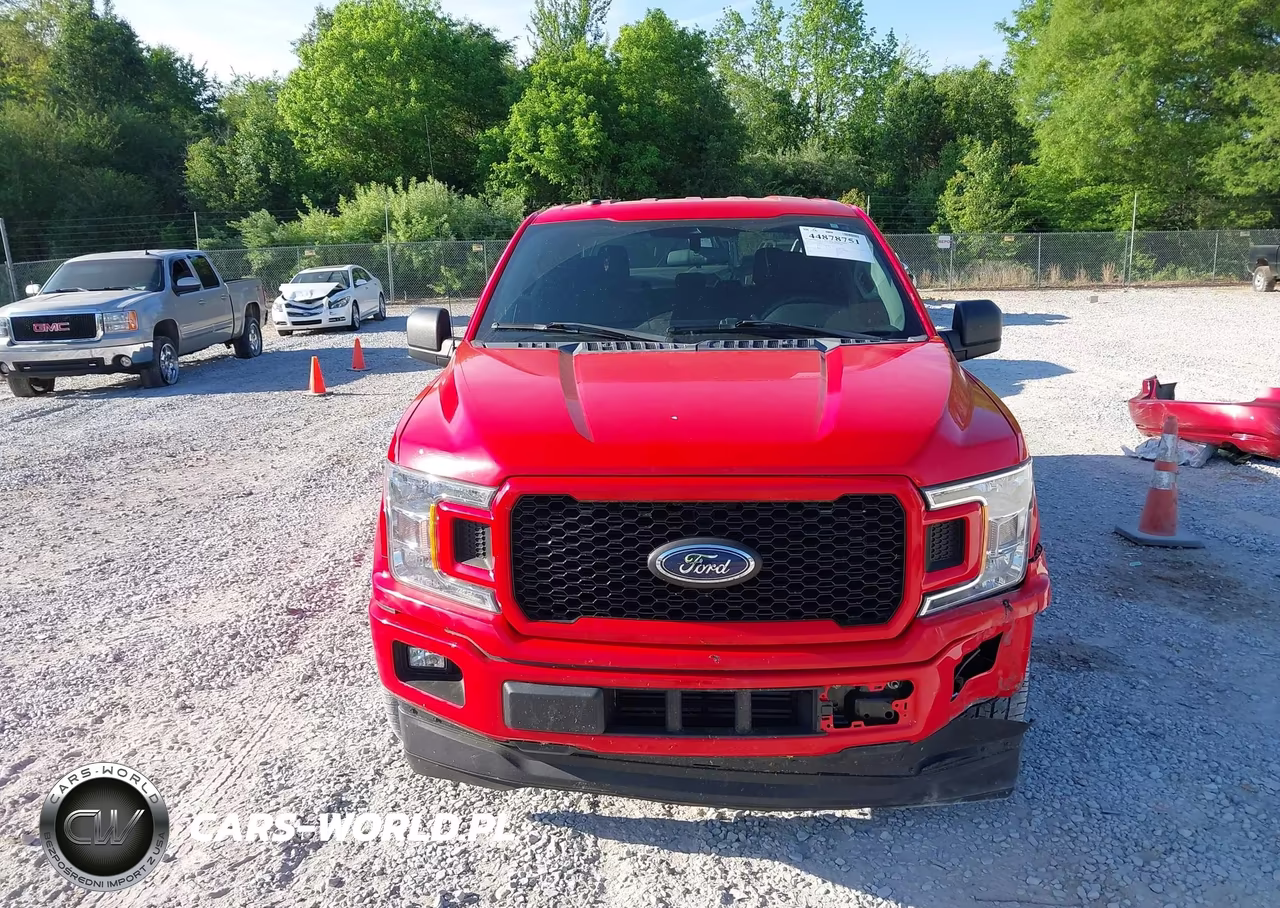 2019 Ford F-150 Xl VIN:1FTEW1CP7KFB11275 - 12