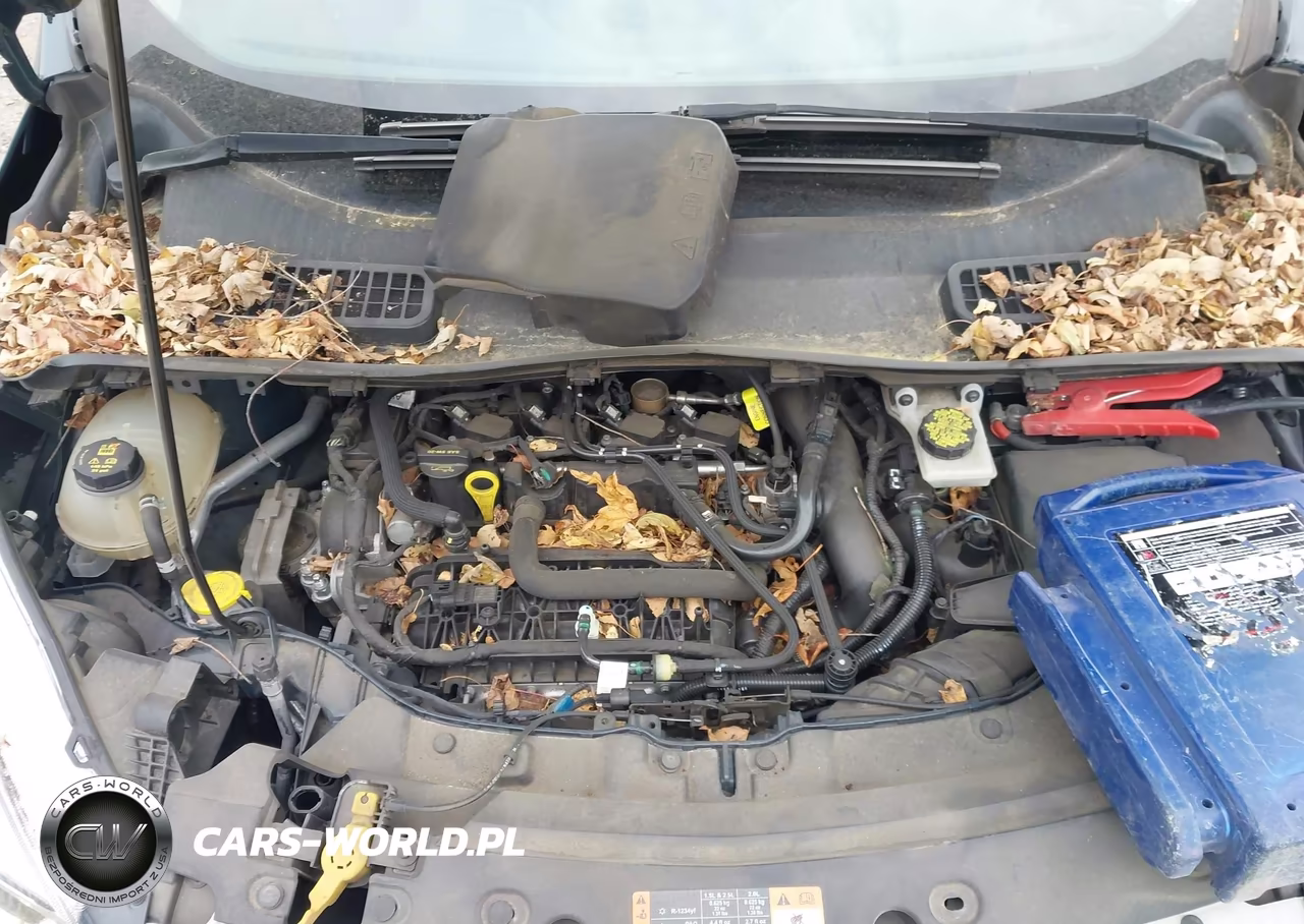 2019 Ford Escape Se VIN:1FMCU0GD9KUA10091 - 10