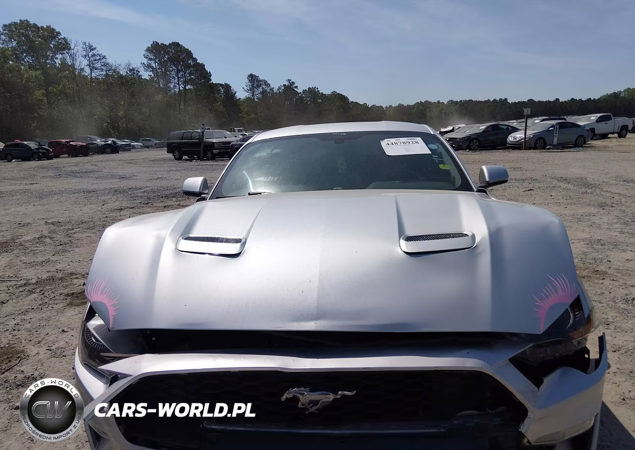 2018 Ford Mustang Ecoboost VIN:1FA6P8THXJ5118511 - 12
