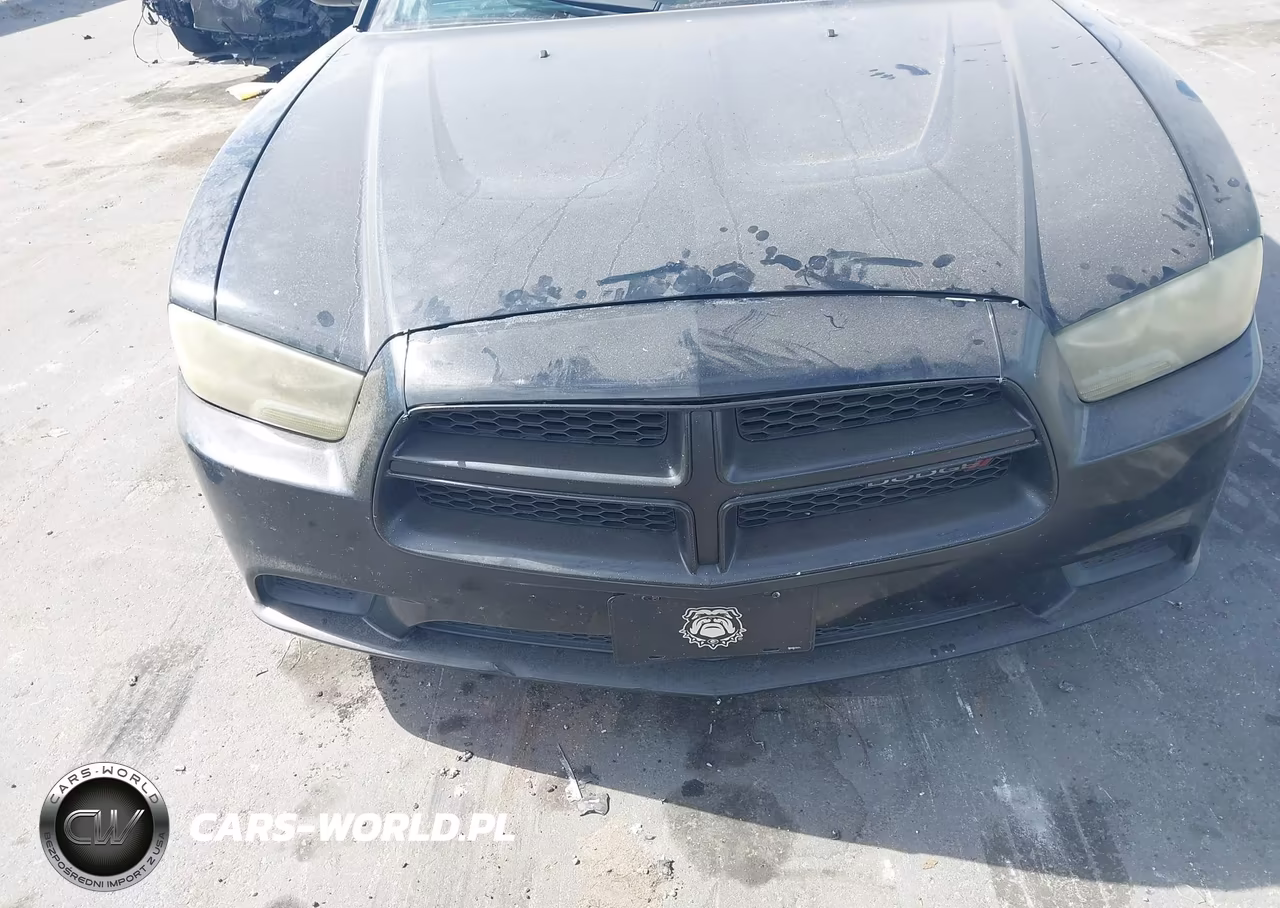 2013 Dodge Charger Se VIN:2C3CDXBG3DH737574 - 6