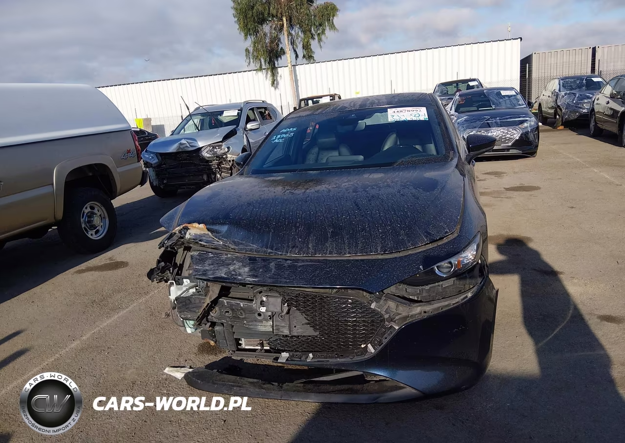2019 Mazda Mazda3 Preferred Package VIN:JM1BPAMM3K1137549 - 13