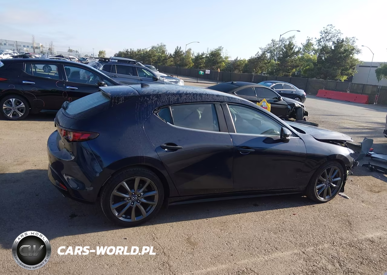 2019 Mazda Mazda3 Preferred Package VIN:JM1BPAMM3K1137549 - 14