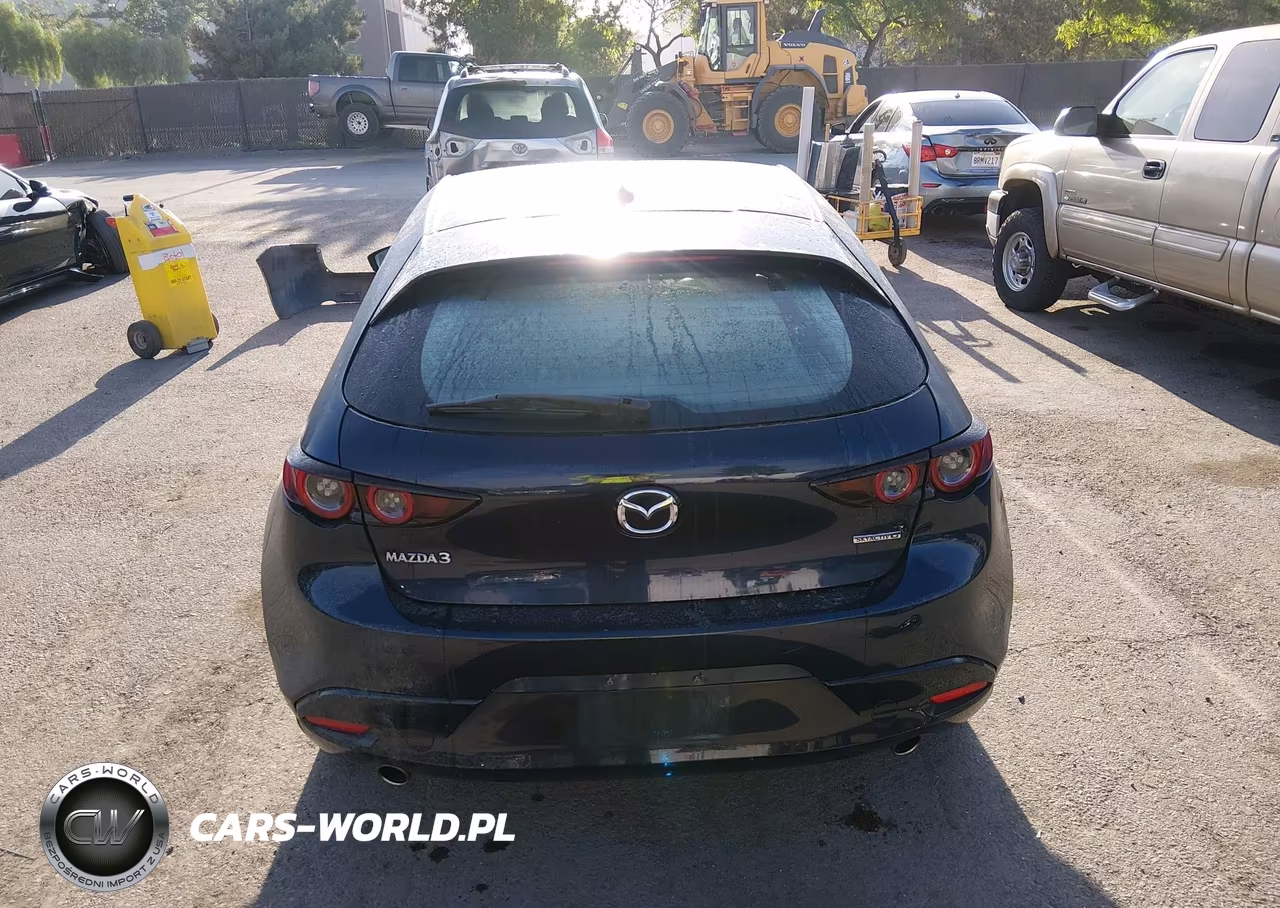 2019 Mazda Mazda3 Preferred Package VIN:JM1BPAMM3K1137549 - 17