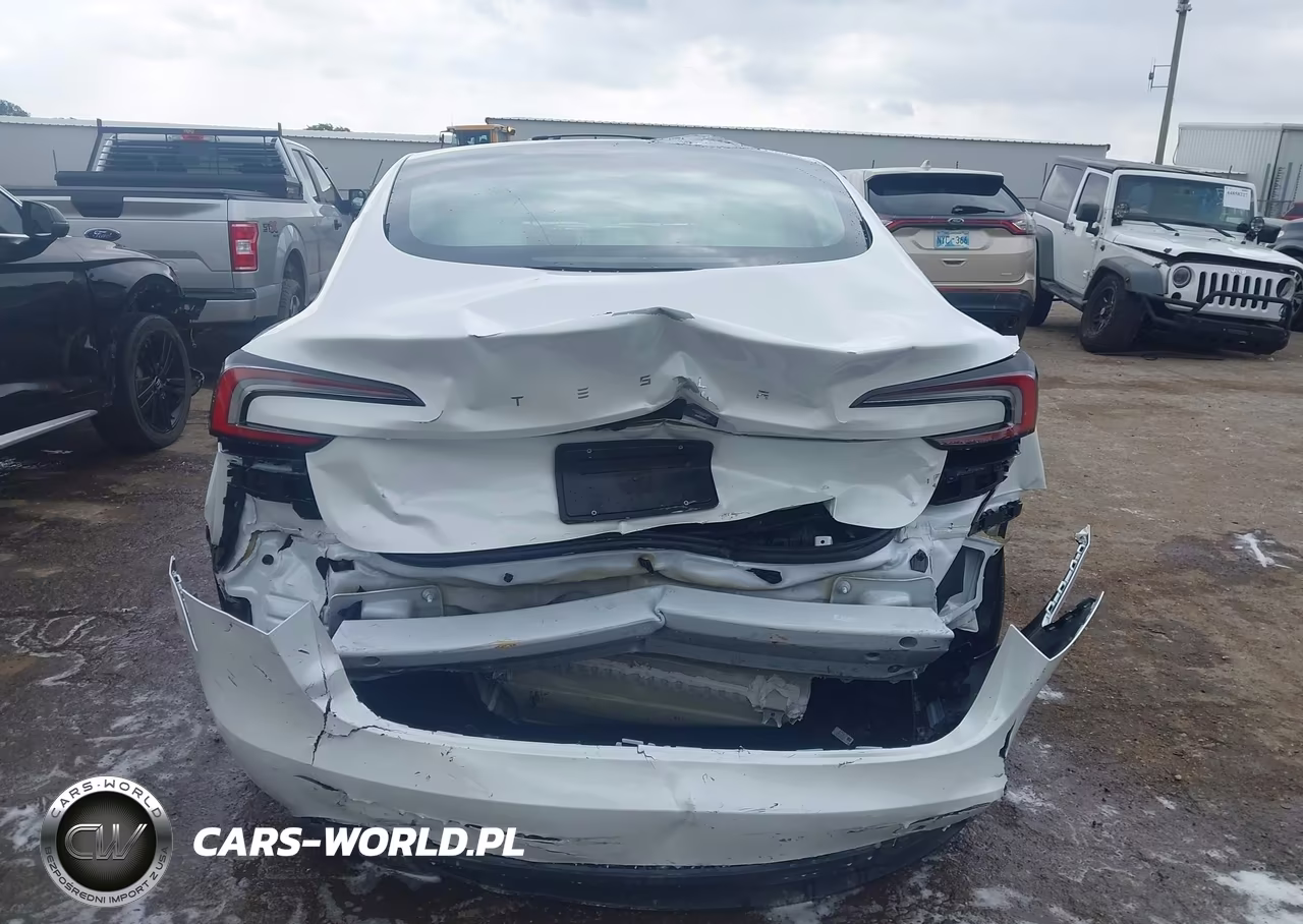 2025 Tesla Model 3 Long Range Rear-Wheel Drive-Standard Rear-Wheel Drive VIN:5YJ3E1EA0SF061715 - 16