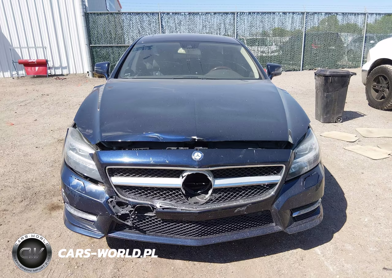 2013 Mercedes-Benz Cls 550 4Matic VIN:WDDLJ9BB2DA078914 - 12