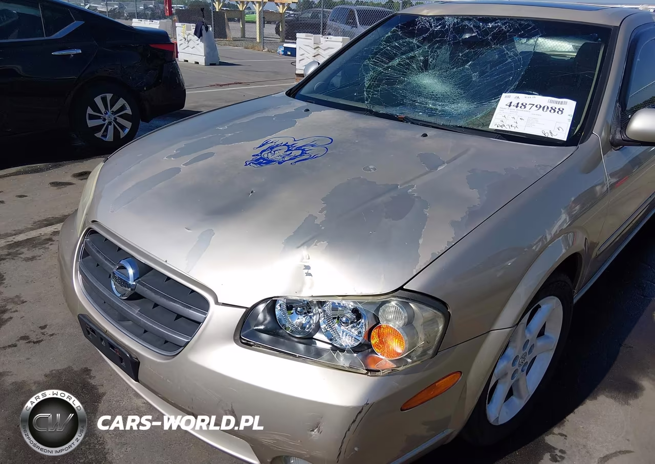 2003 Nissan Maxima Se VIN:JN1DA31D83T512287 - 6
