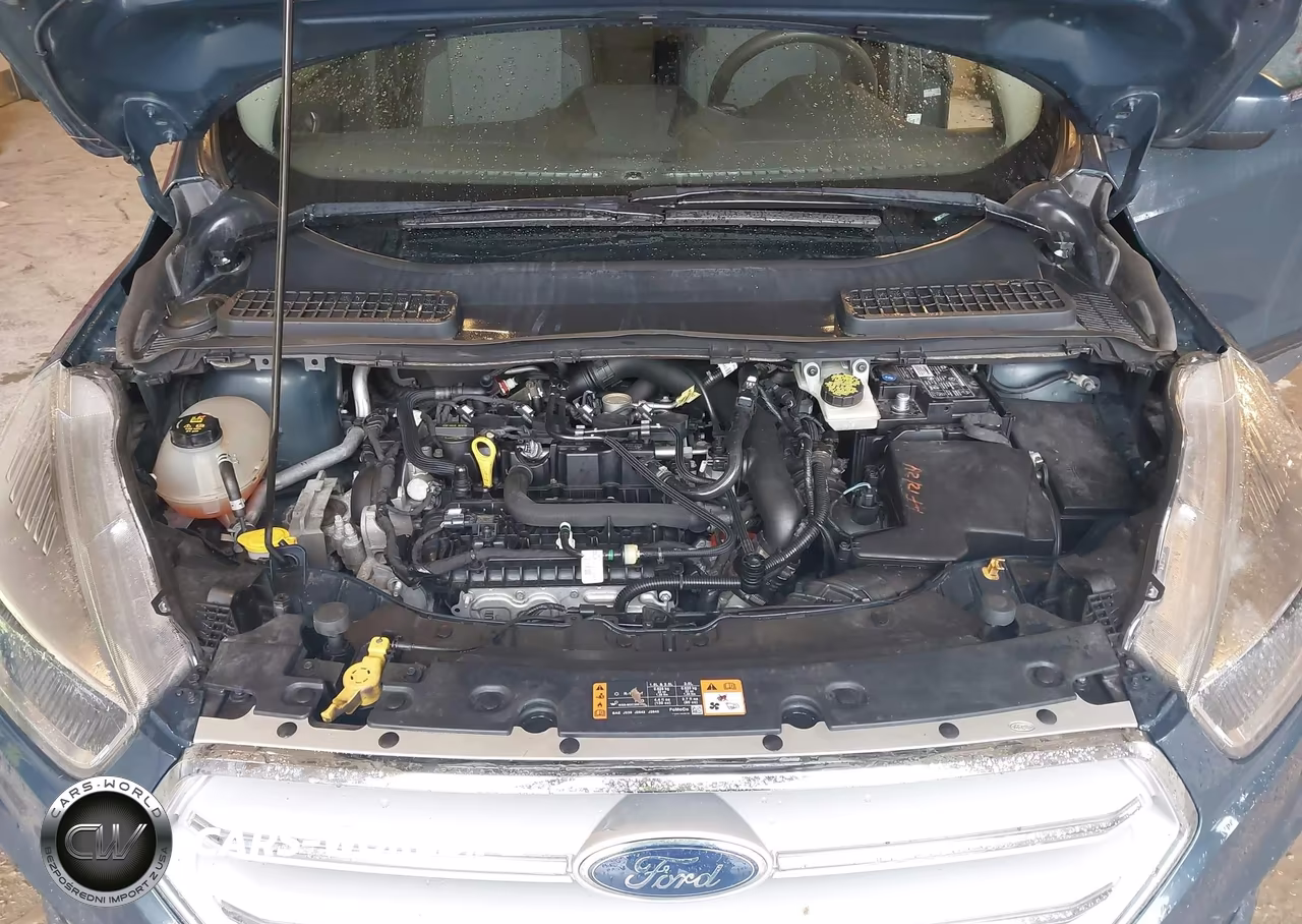 2019 Ford Escape Se VIN:1FMCU0GD4KUC01563 - 10