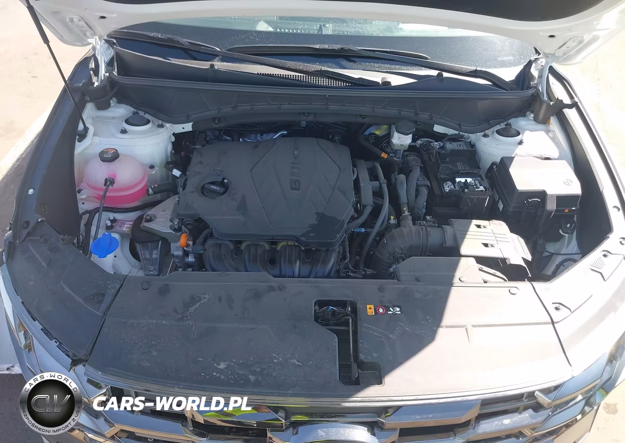 2025 Hyundai Tucson Limited VIN:5NMJE3DE3SH600320 - 10