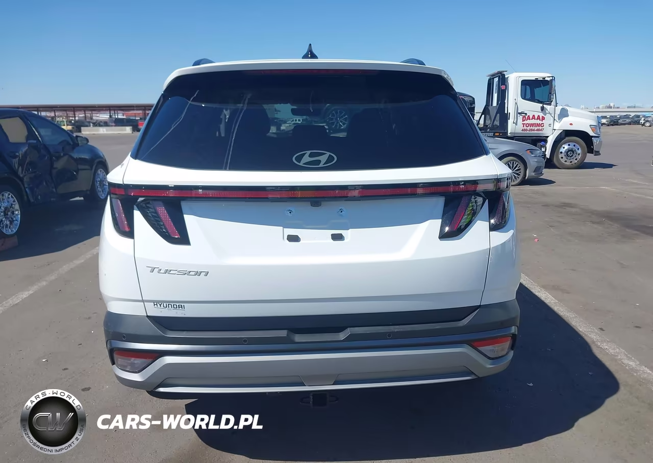 2025 Hyundai Tucson Limited VIN:5NMJE3DE3SH600320 - 17
