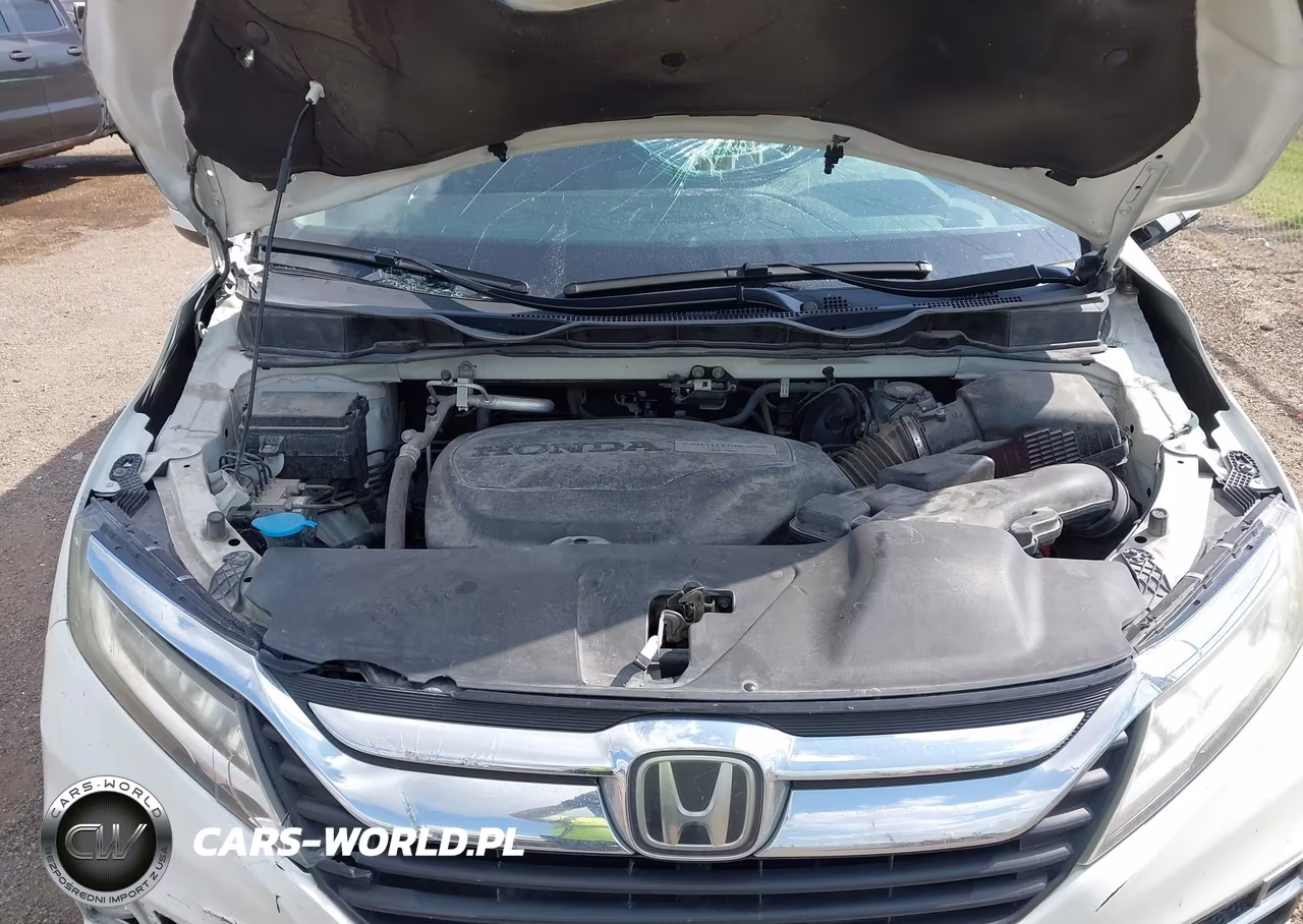 2018 Honda Odyssey Elite VIN:5FNRL6H9XJB065266 - 10