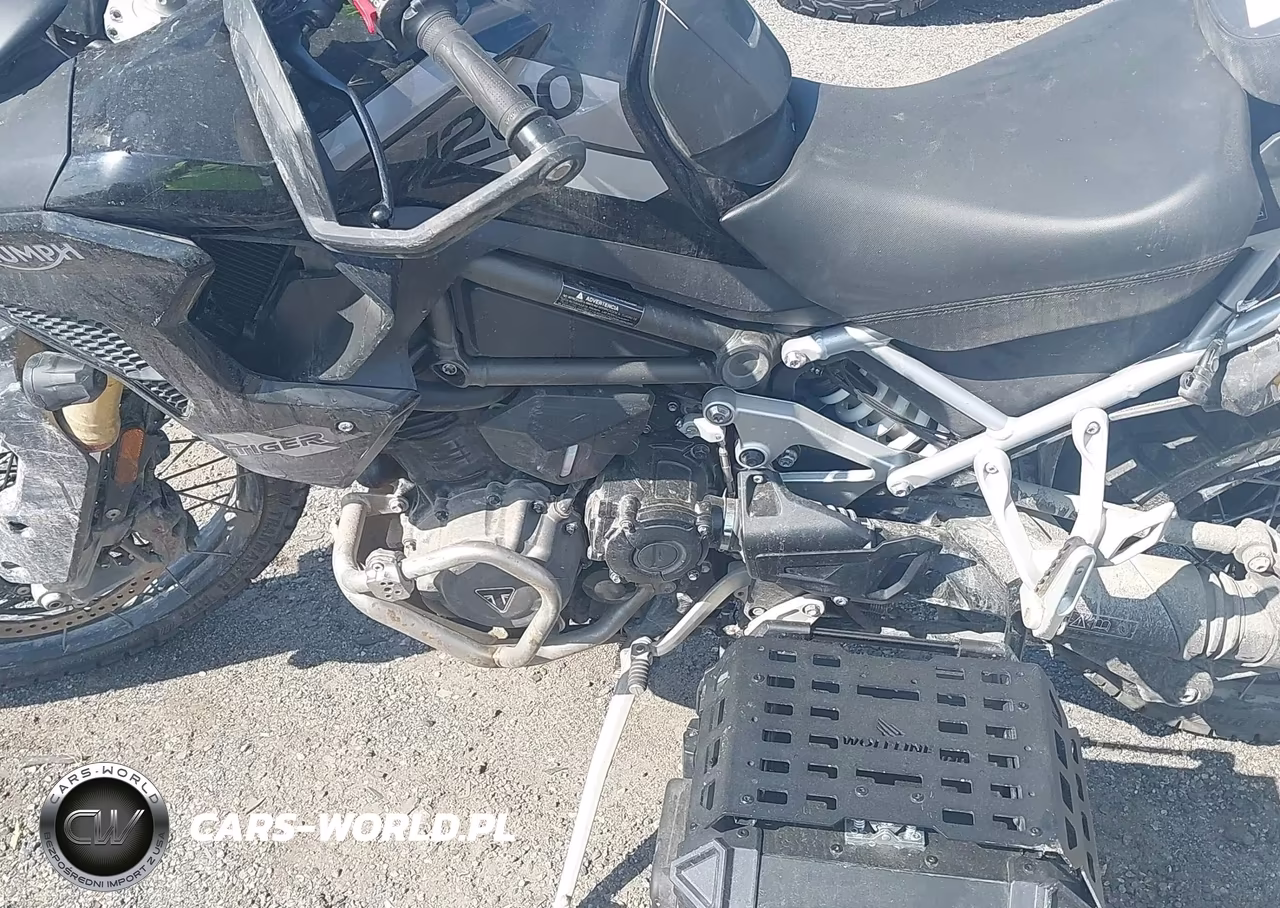 2023 Triumph Motorcycle Tiger 1200 Rally Pro VIN:SMTP20V43PTBD1159 - 9