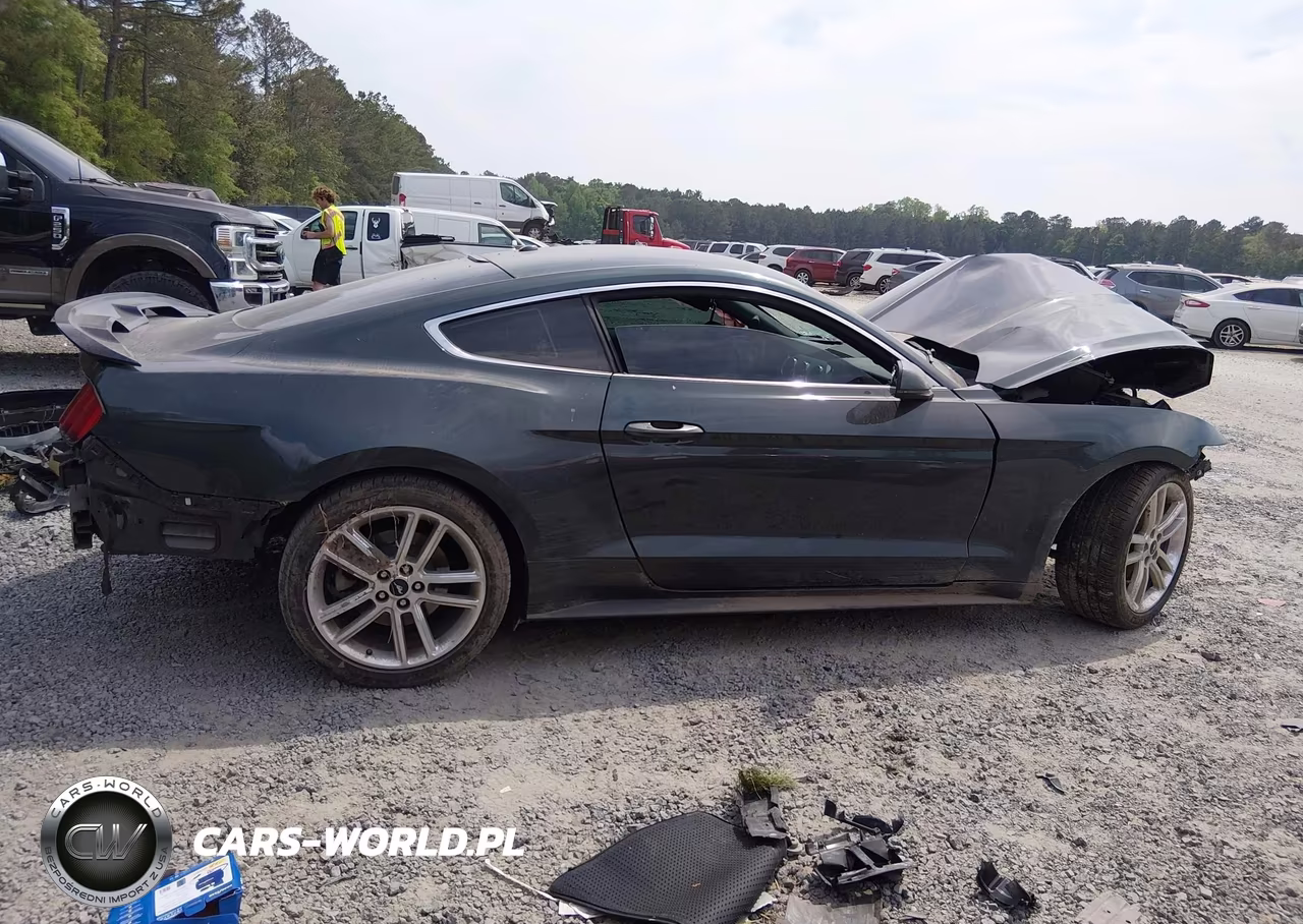 2016 Ford Mustang Ecoboost VIN:1FA6P8TH3G5298990 - 14