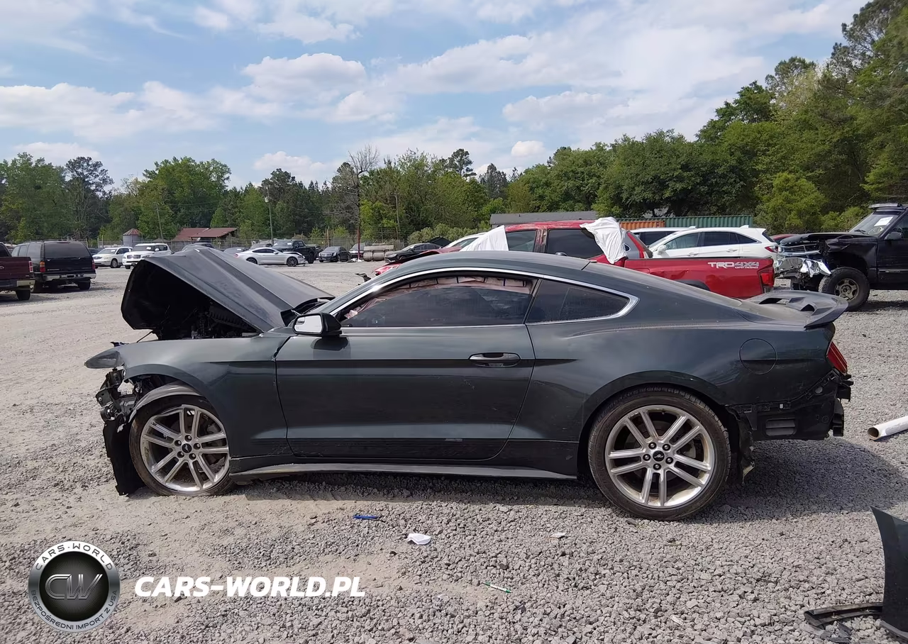2016 Ford Mustang Ecoboost VIN:1FA6P8TH3G5298990 - 15
