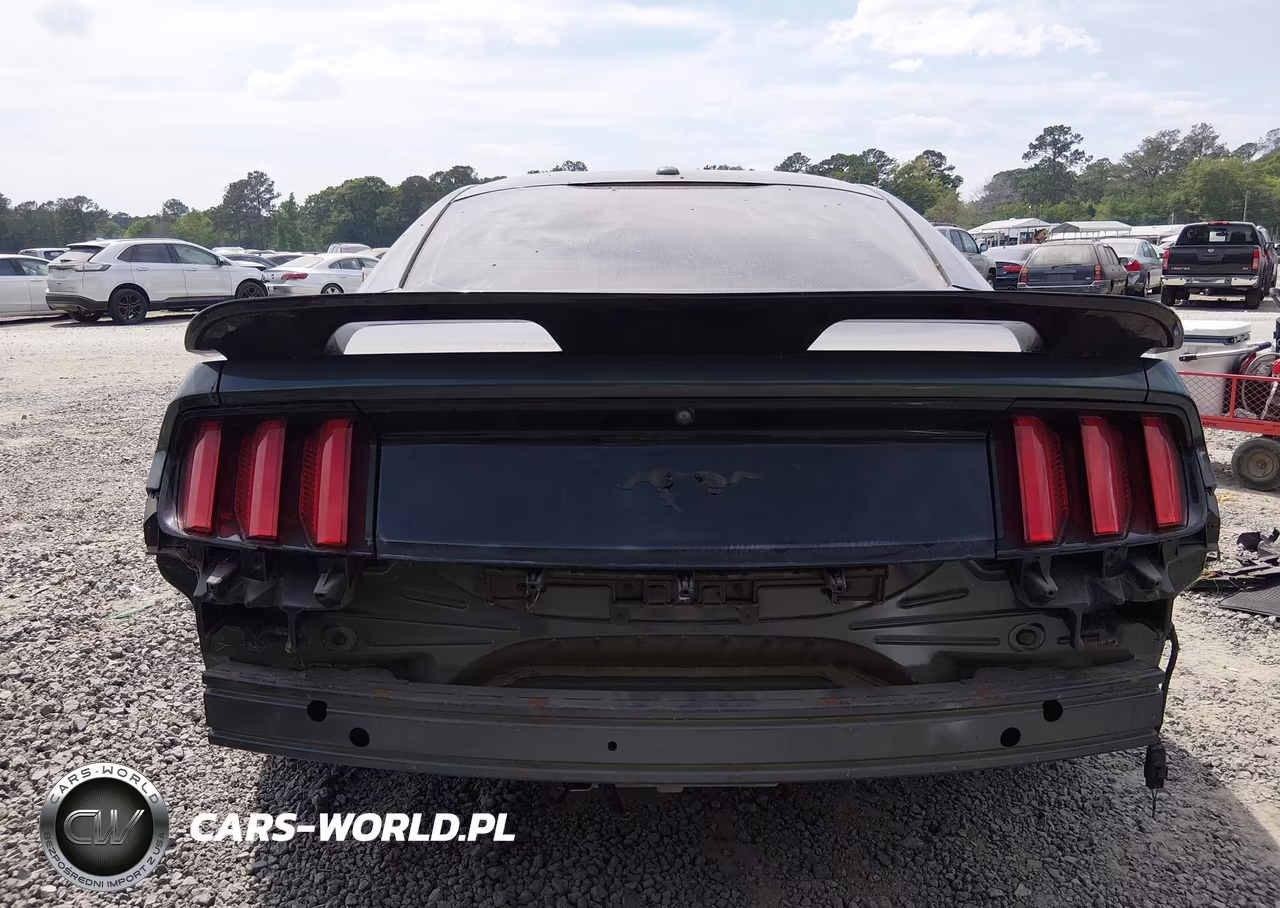 2016 Ford Mustang Ecoboost VIN:1FA6P8TH3G5298990 - 17