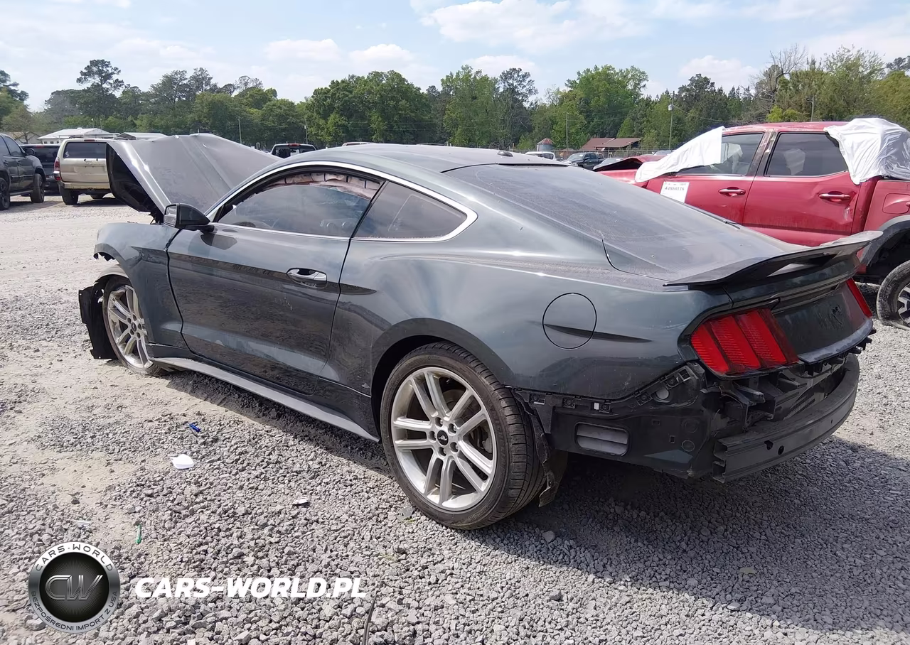 2016 Ford Mustang Ecoboost VIN:1FA6P8TH3G5298990 - 3