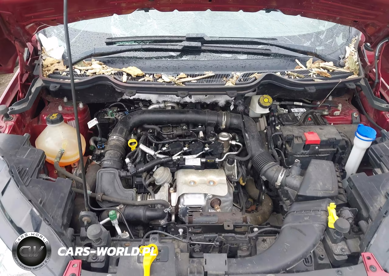 2019 Ford Ecosport Se VIN:MAJ3S2GE5KC285421 - 10